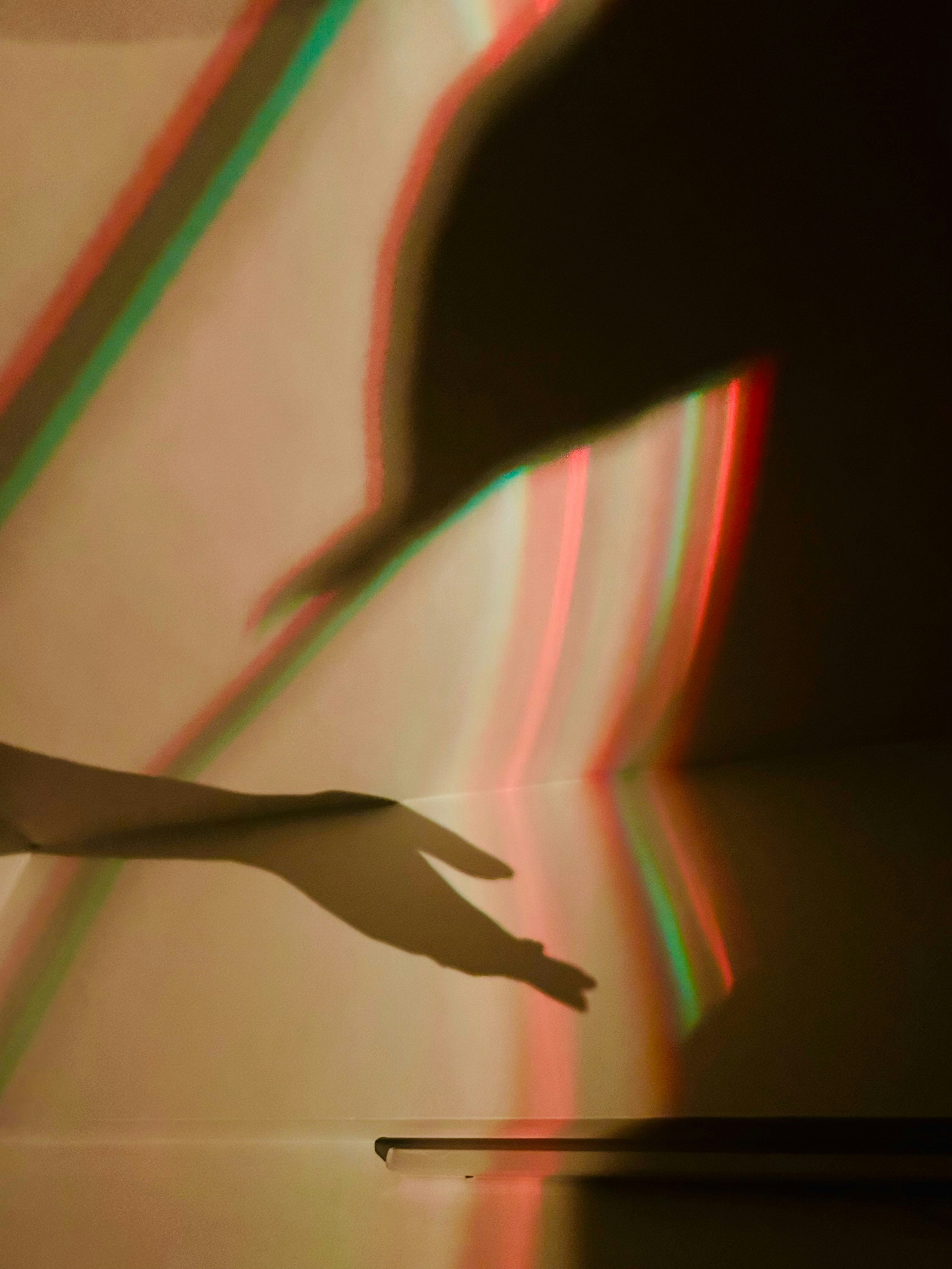 Photo by littlemissbee