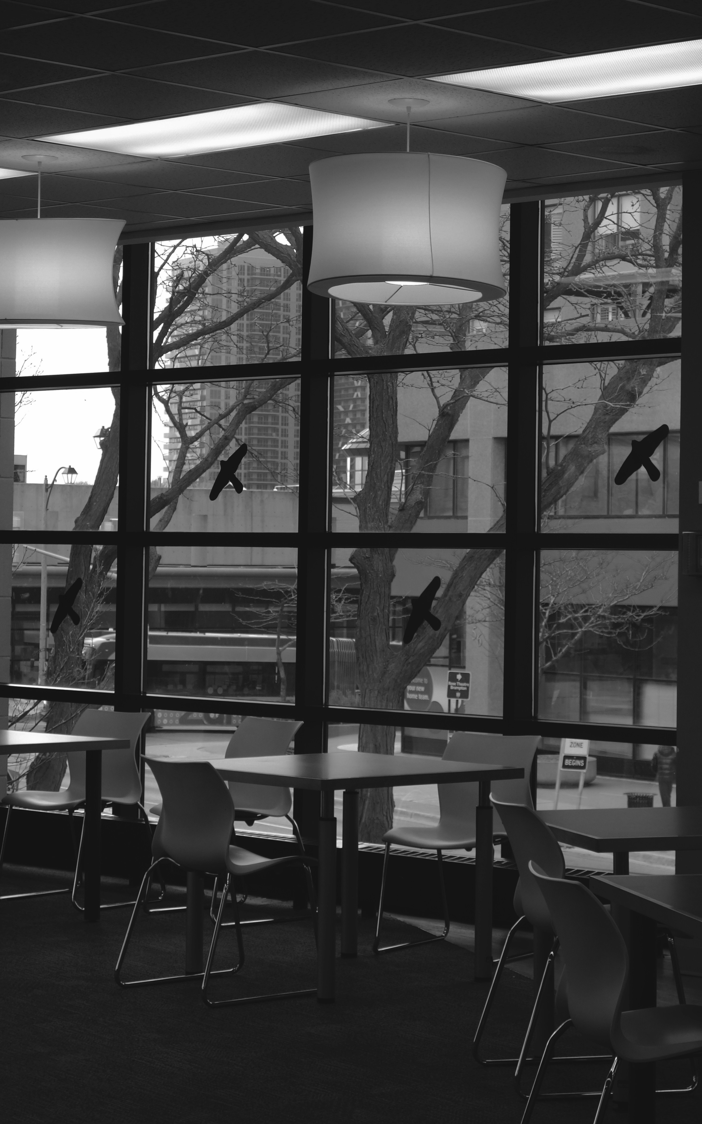 Photo by lostvoyager