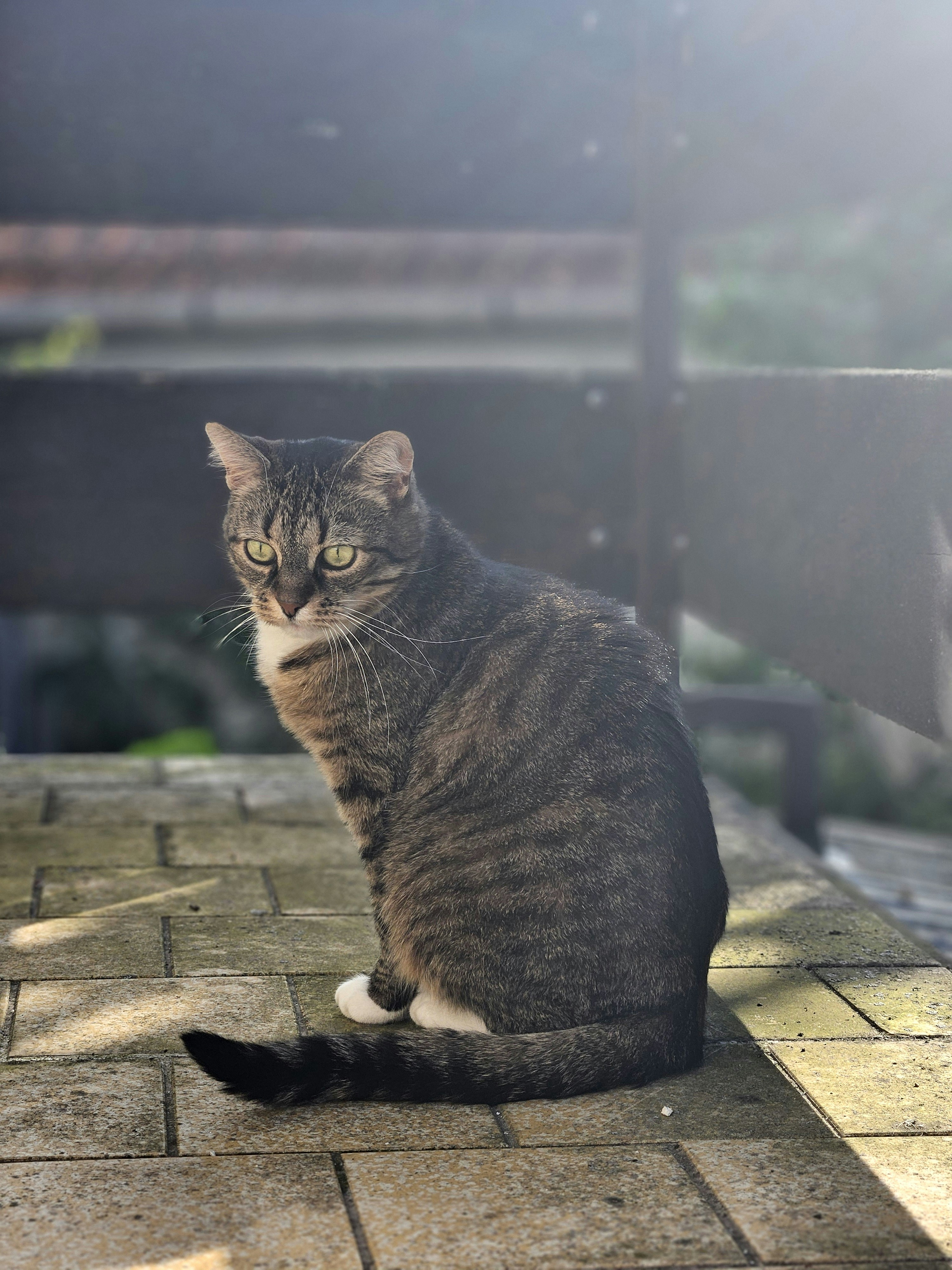 Photo by marjorylucabaxter