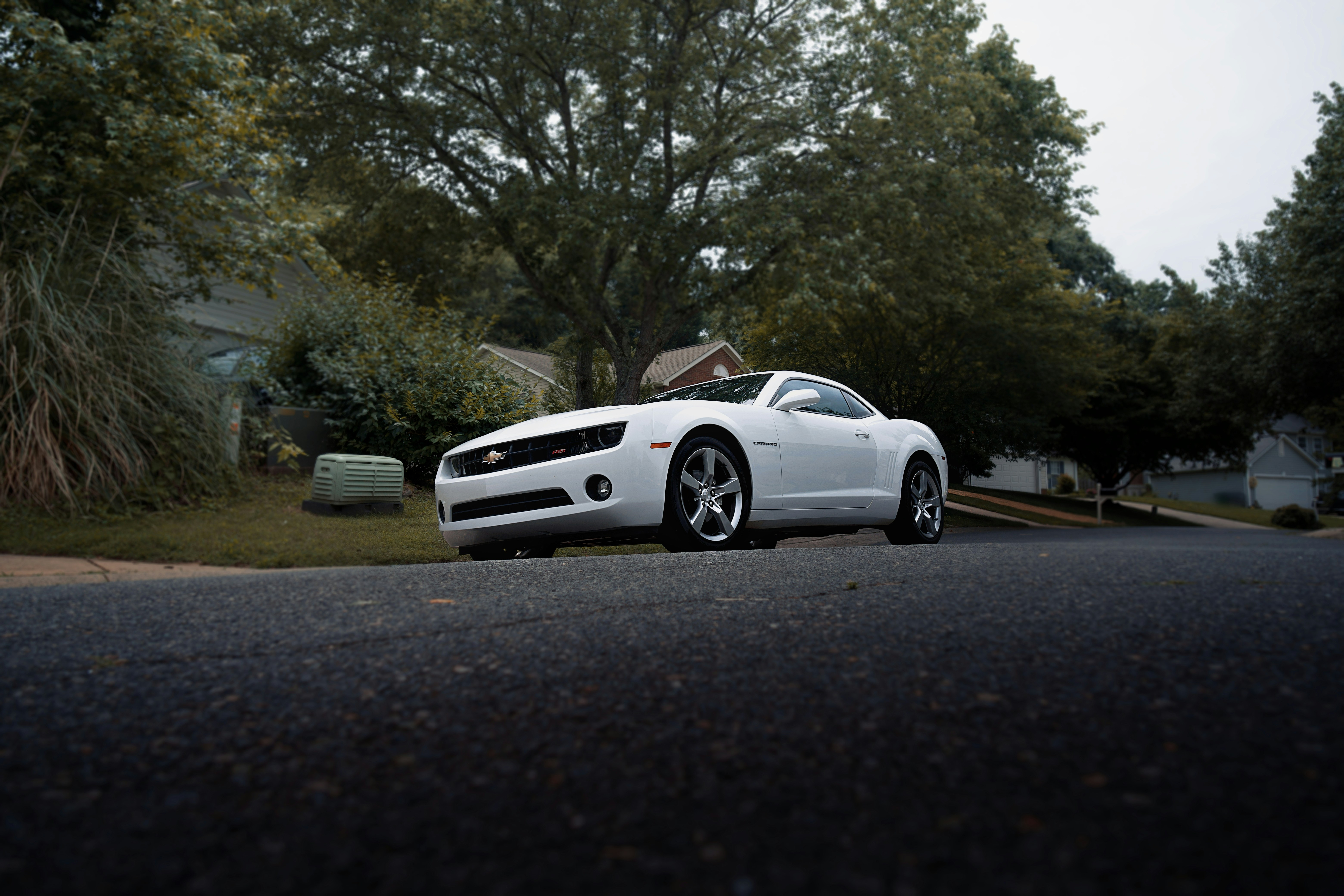 Photo by leiadakrozjhen