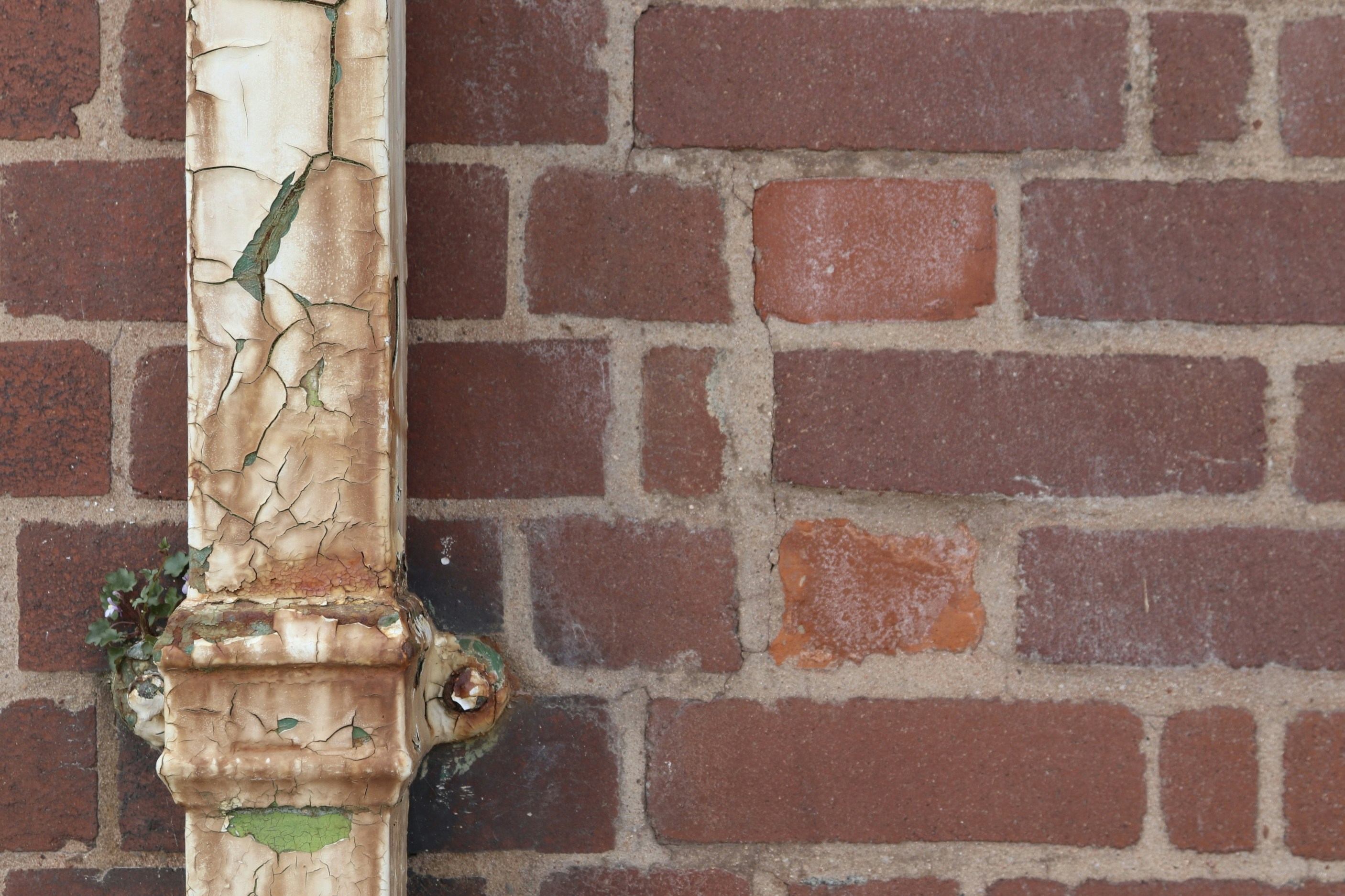 Photo by tanyabarrow