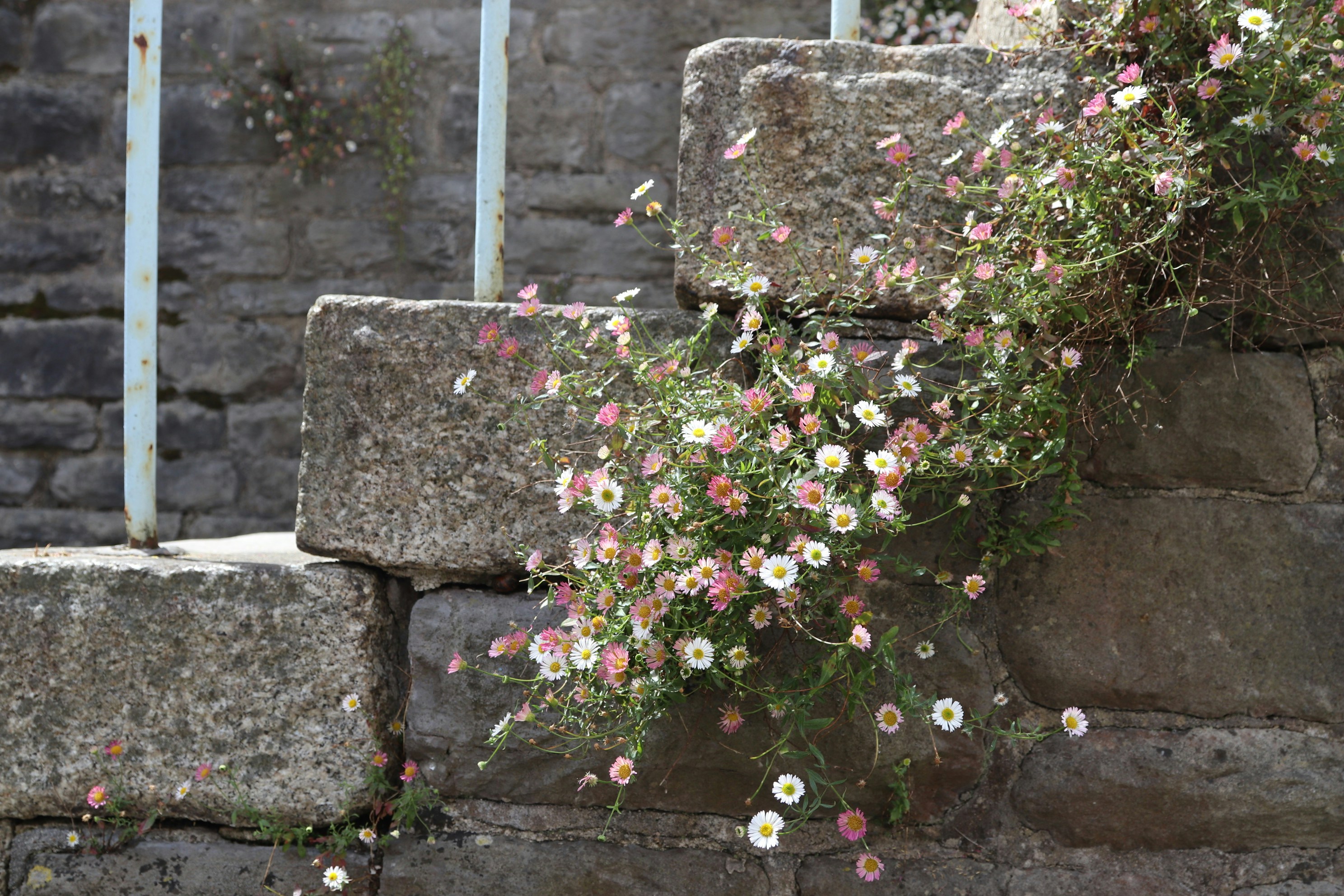 Photo by tanyabarrow