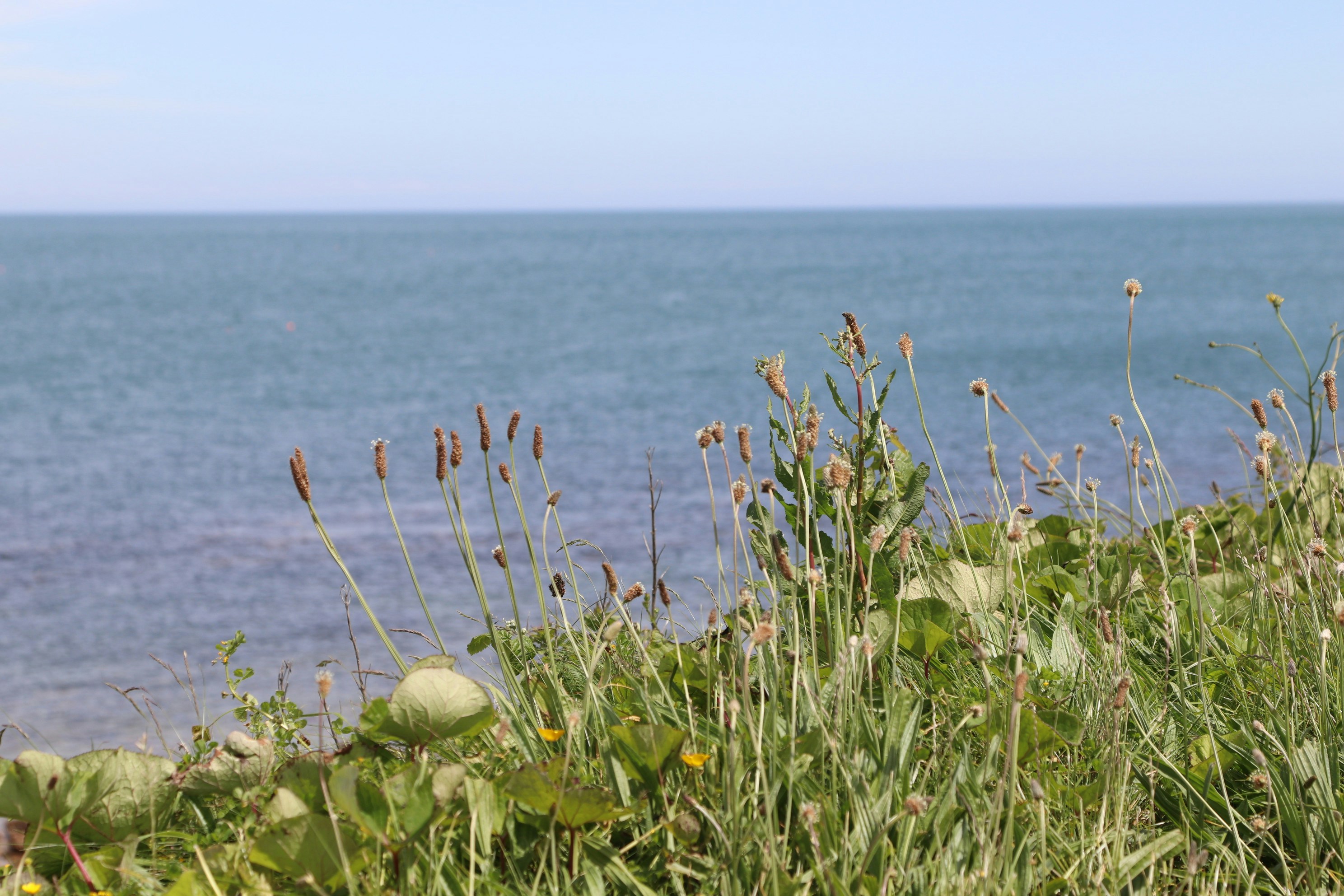 Photo by tanyabarrow