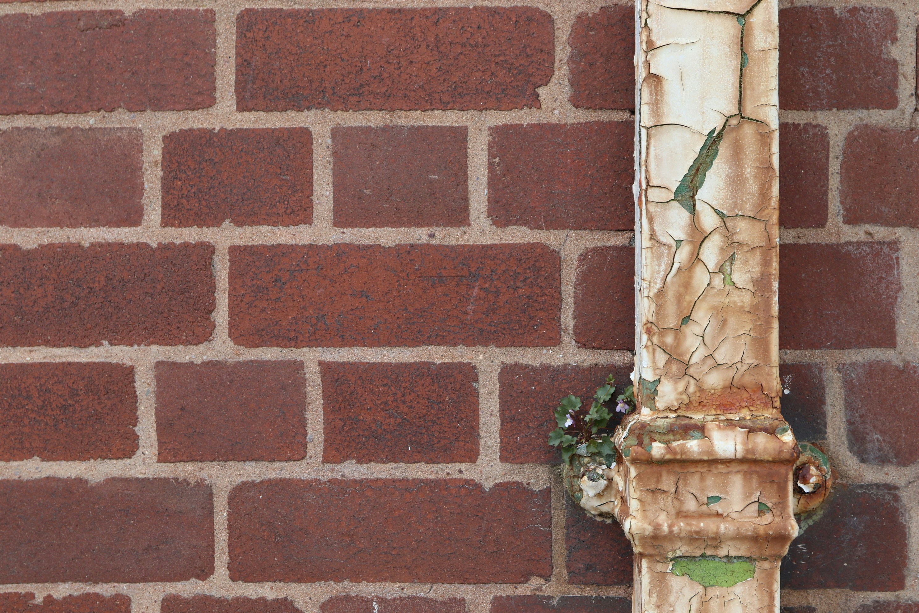 Photo by tanyabarrow