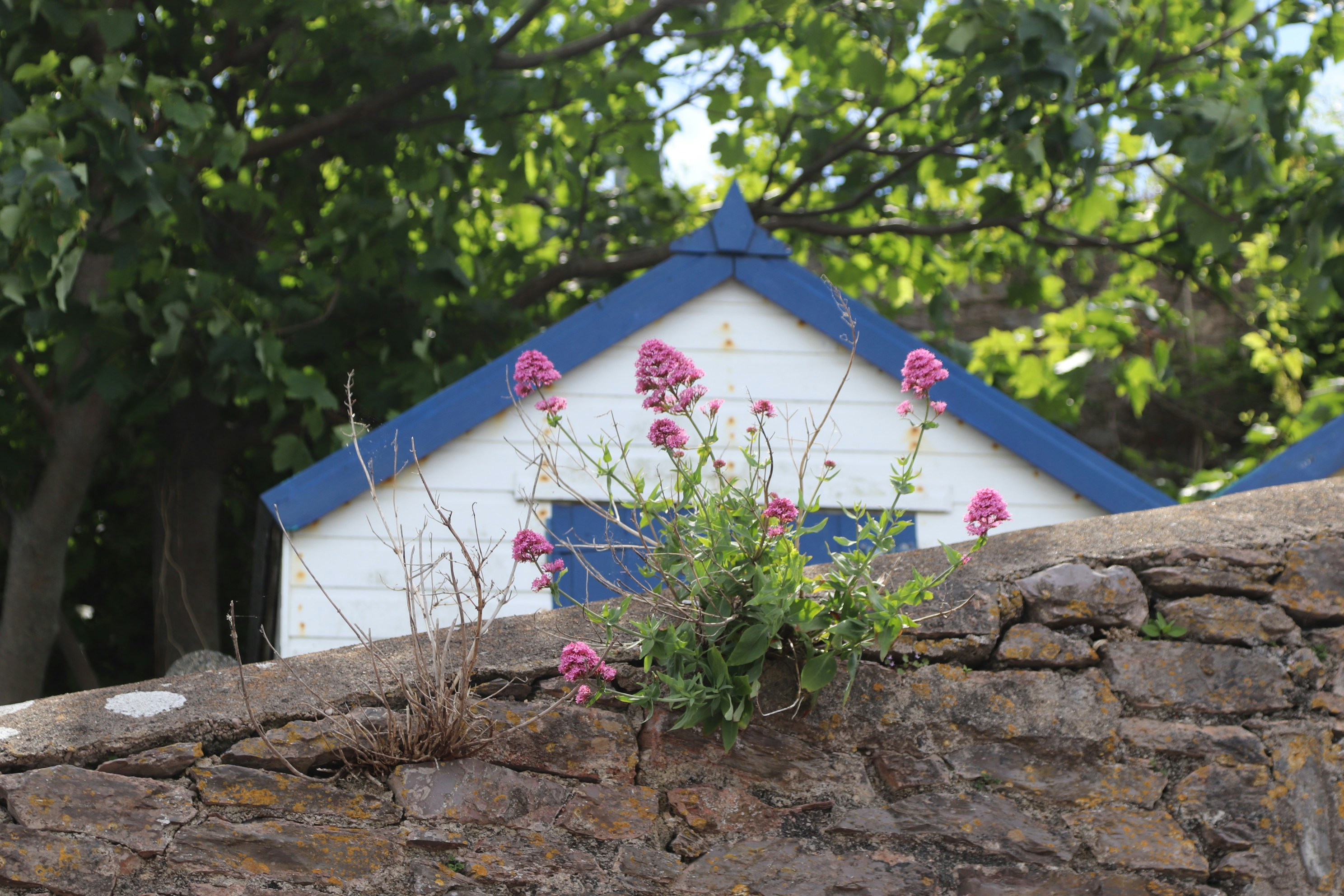 Photo by tanyabarrow