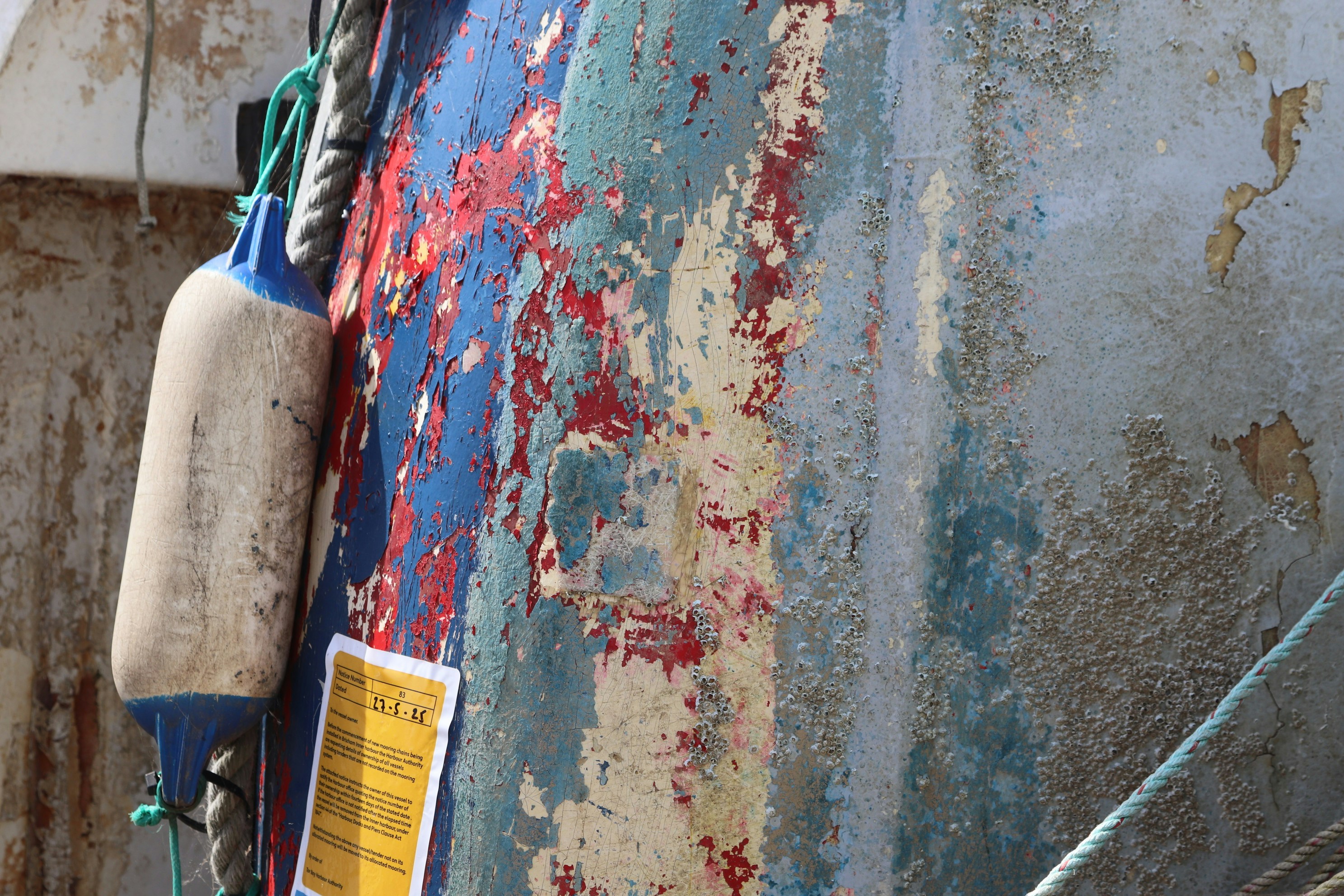 Photo by tanyabarrow