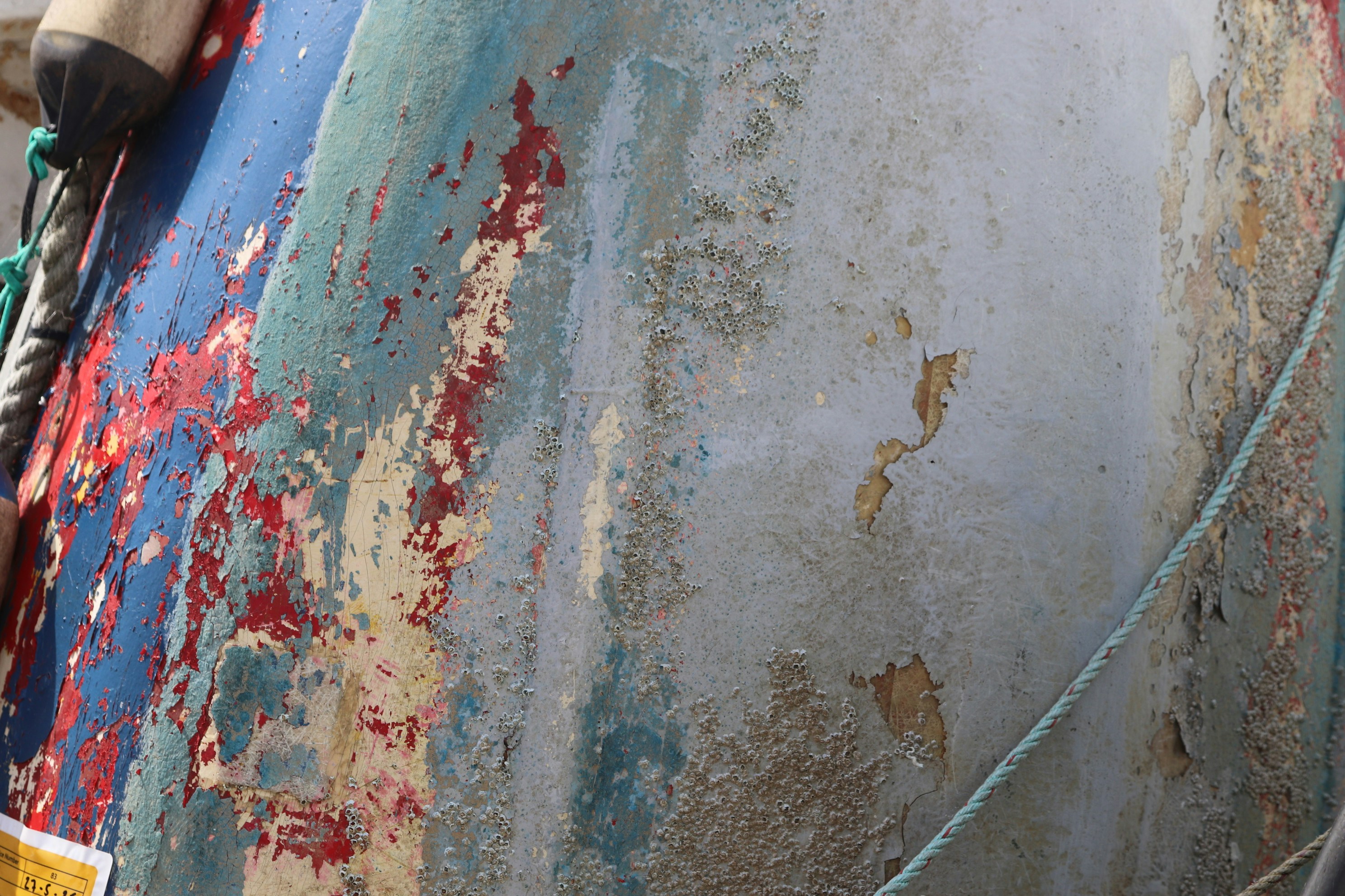 Photo by tanyabarrow