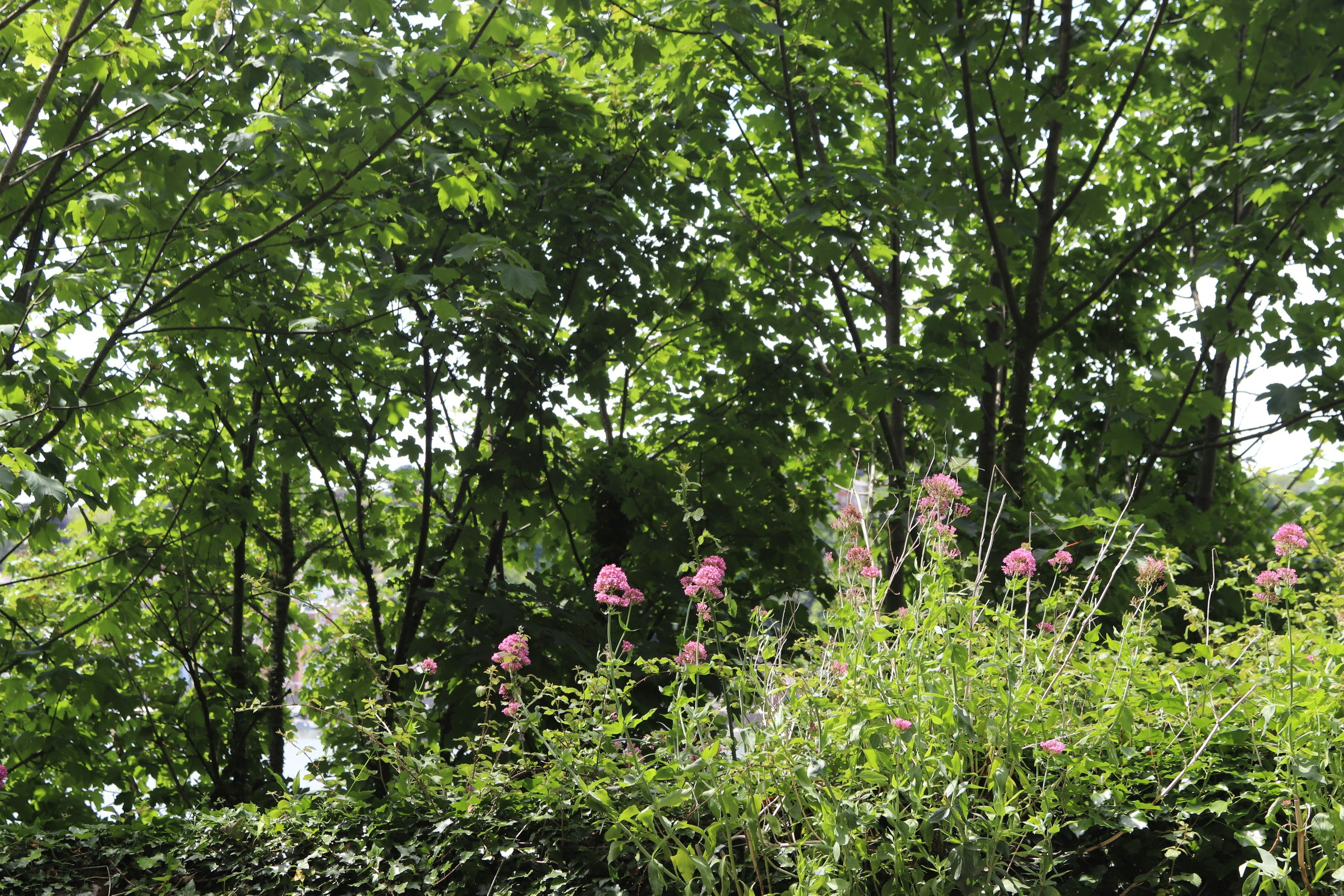 Photo by tanyabarrow