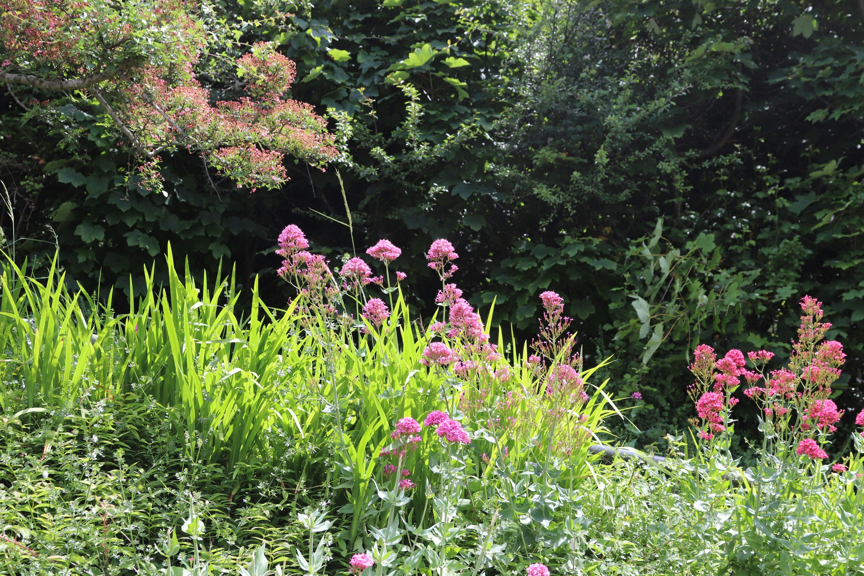 Photo by tanyabarrow