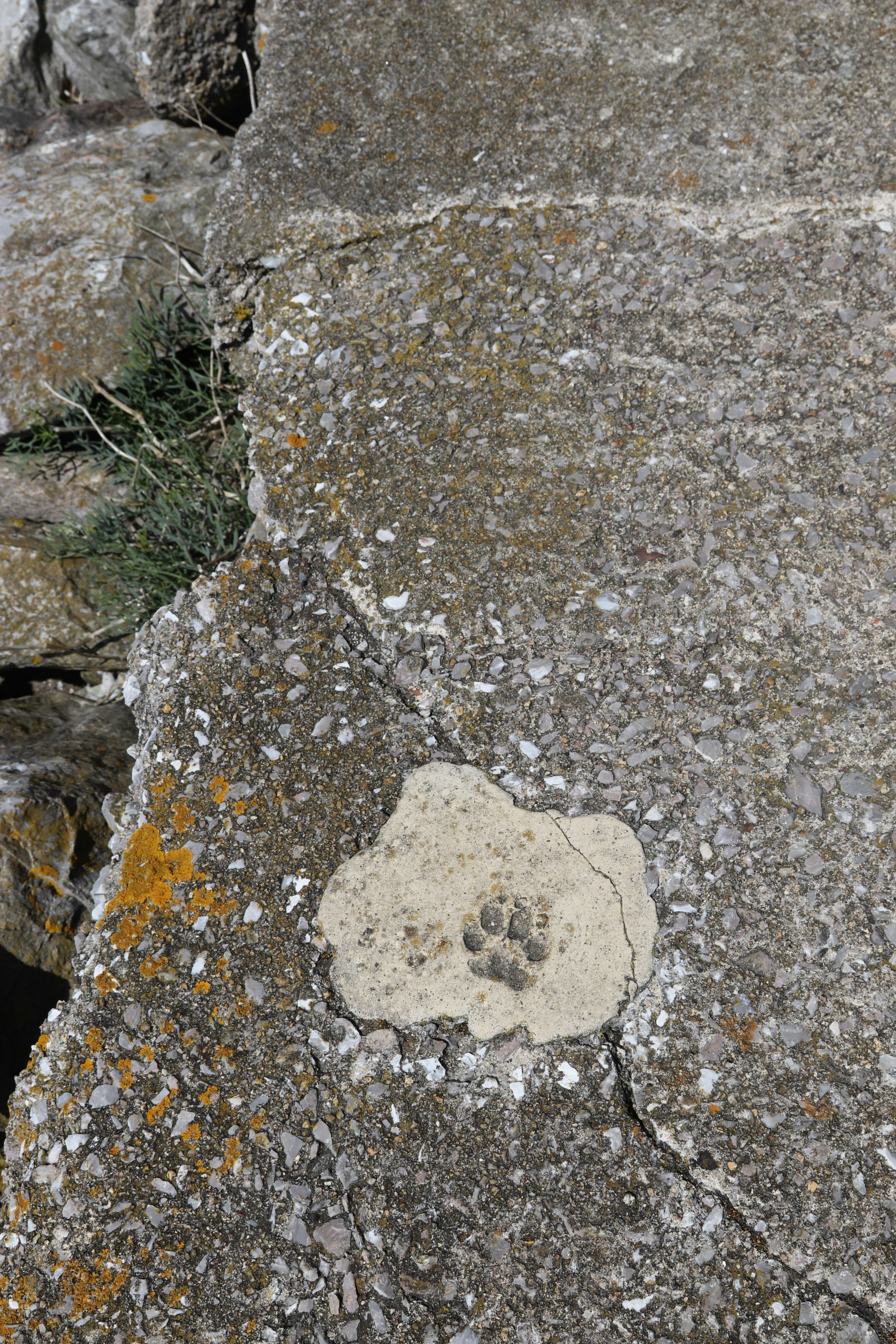 Photo by tanyabarrow