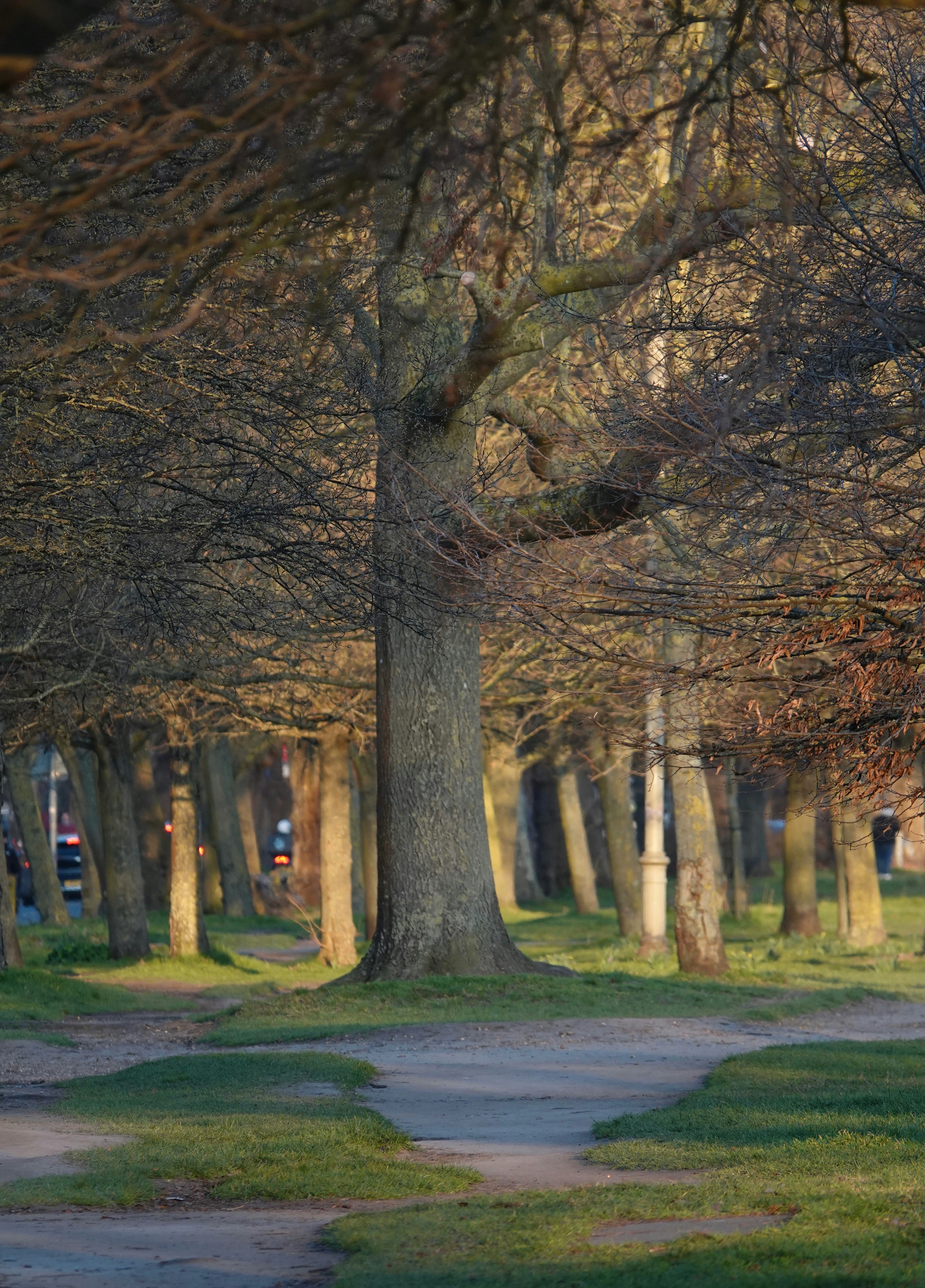 Photo by priyankachechi29