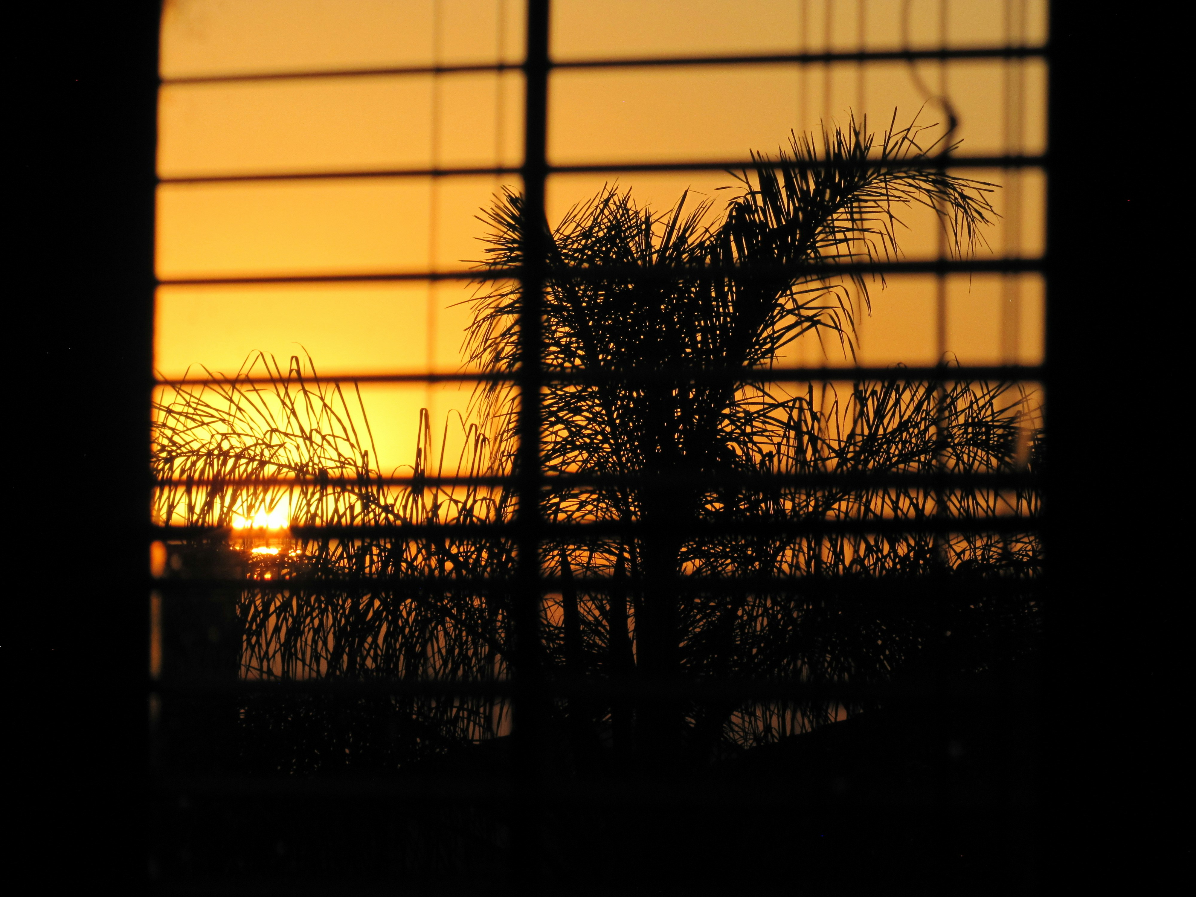 Photo by alanareyneke