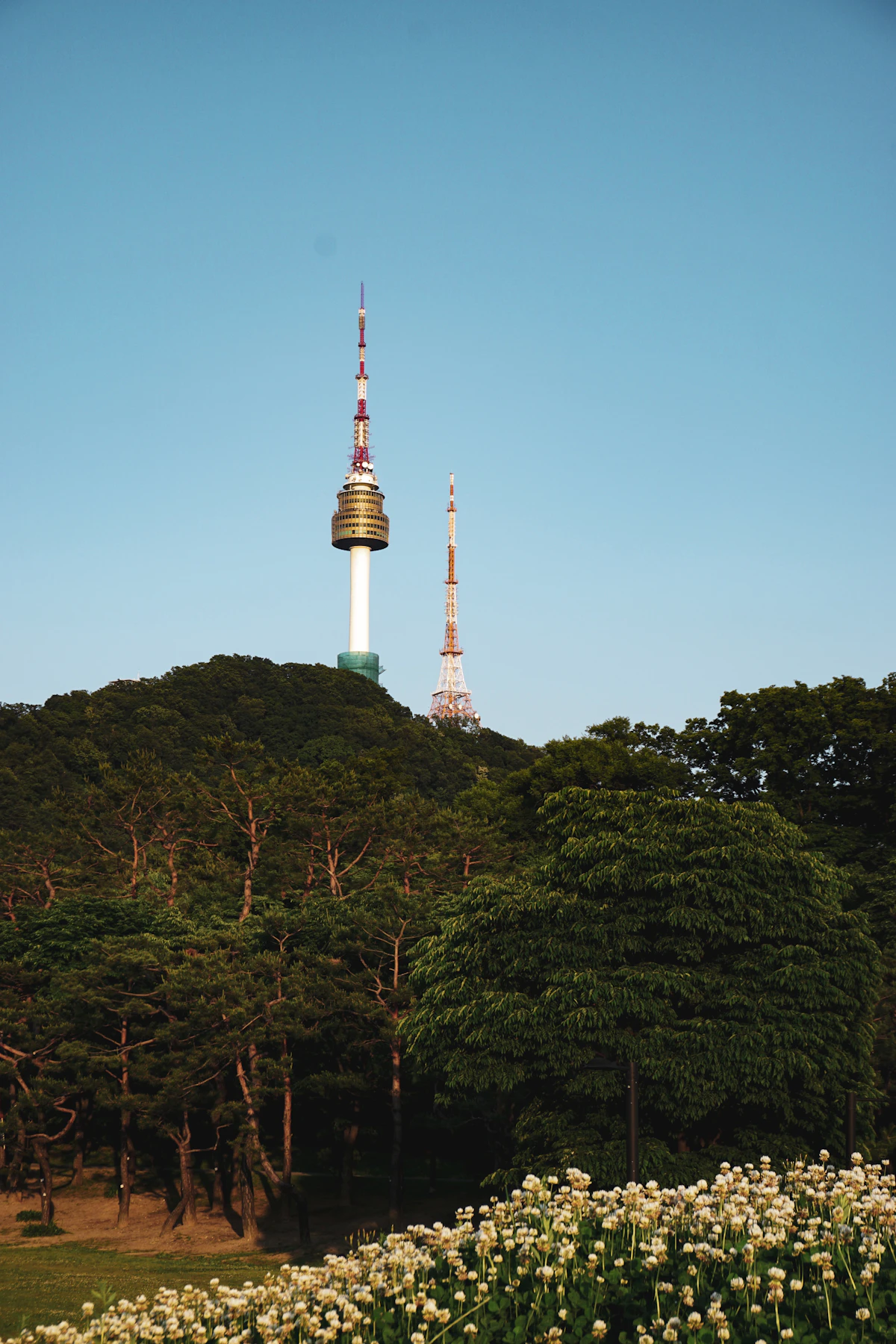 N Seoul Tower above the forested slope of Namsan mountain
