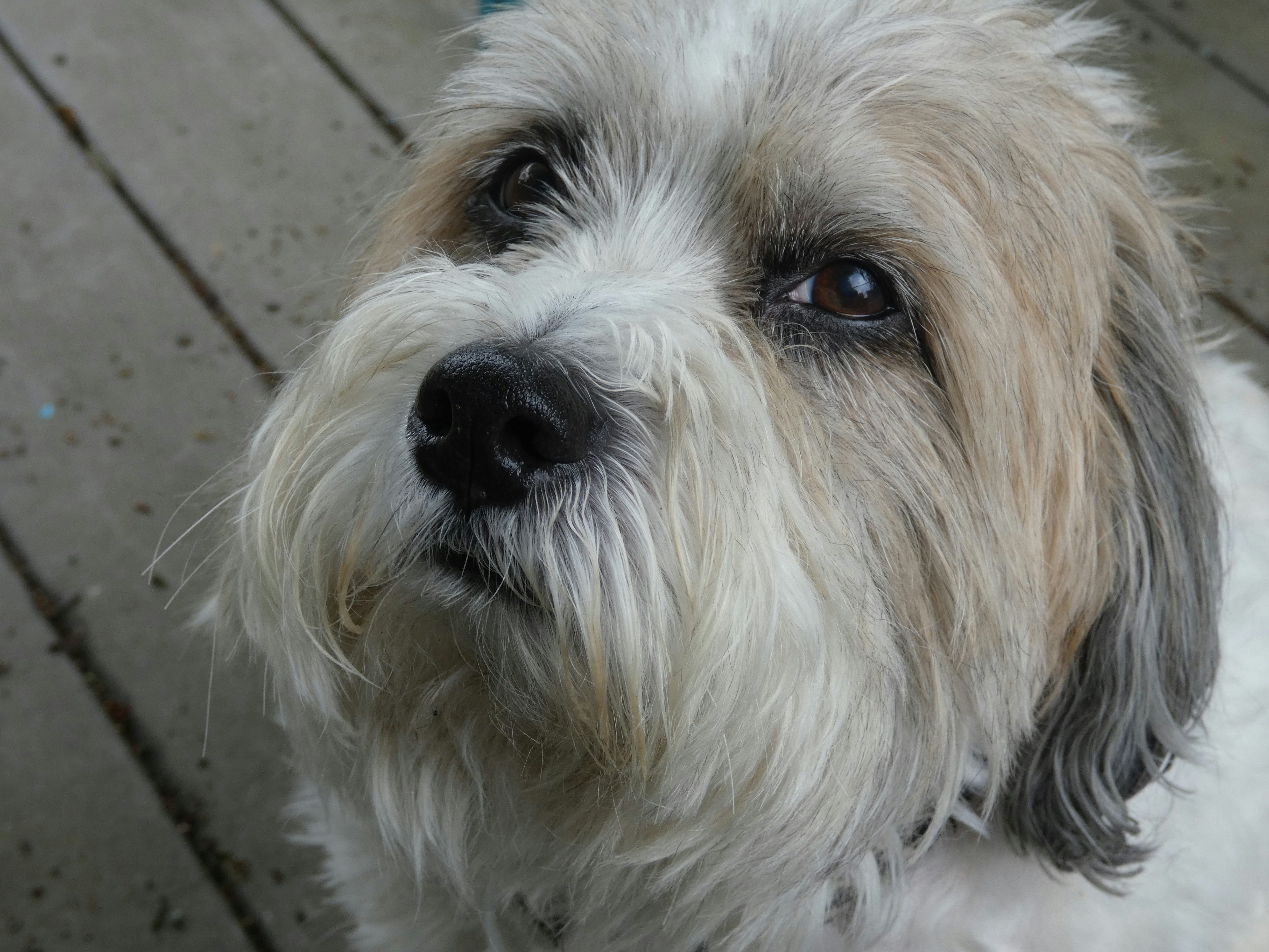 Photo by arkansas007