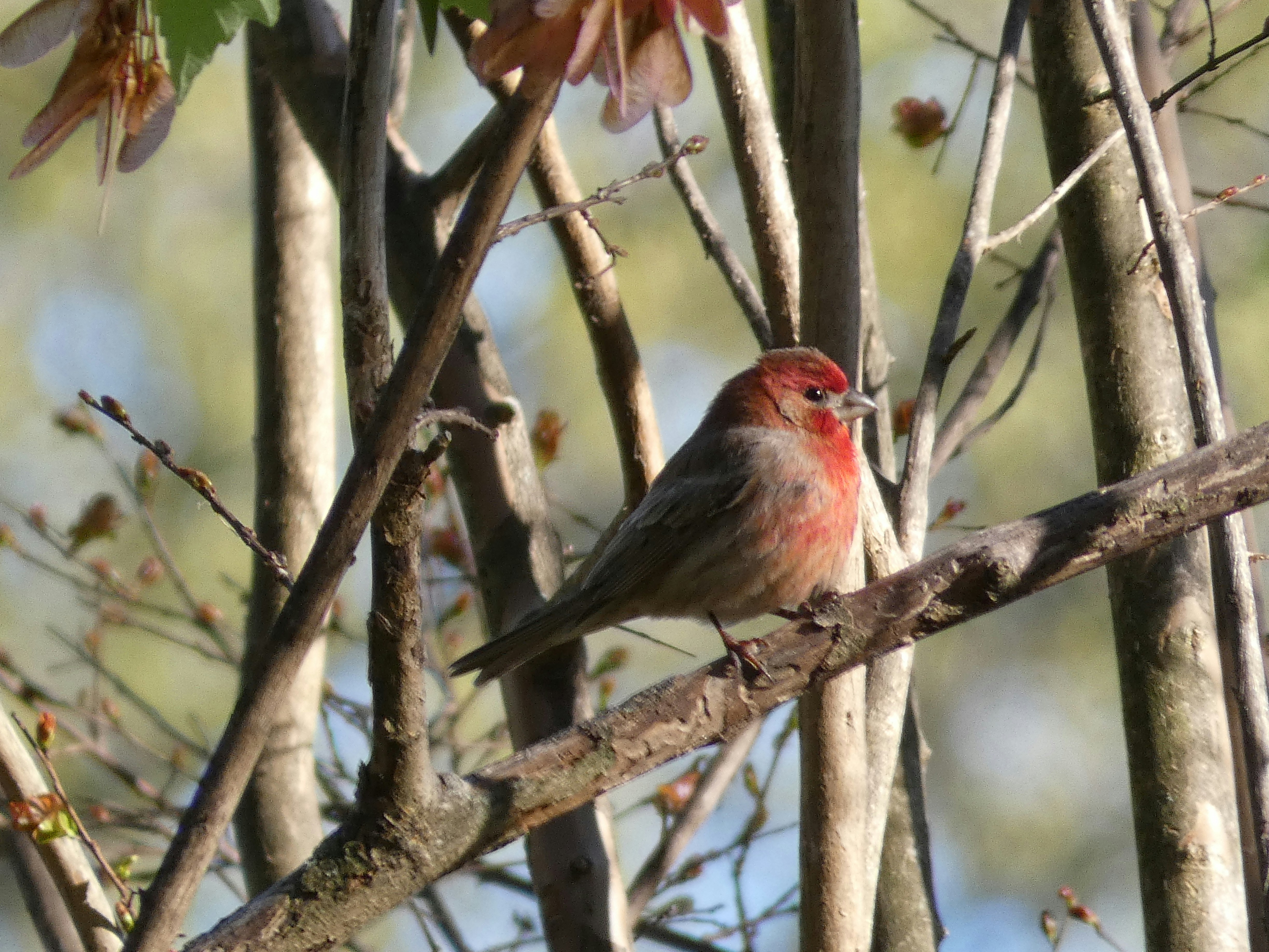 Photo by arkansas007