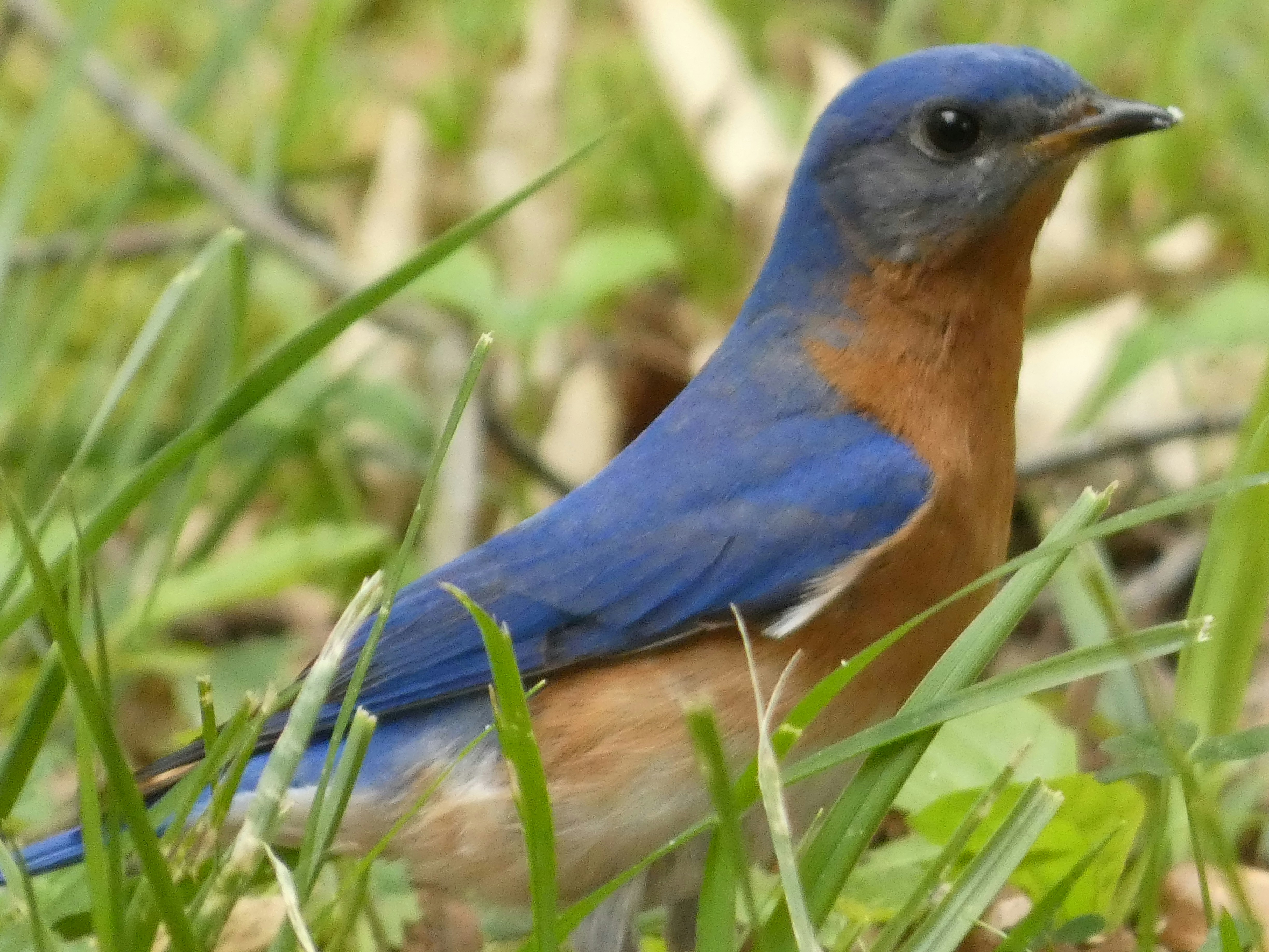 Photo by arkansas007