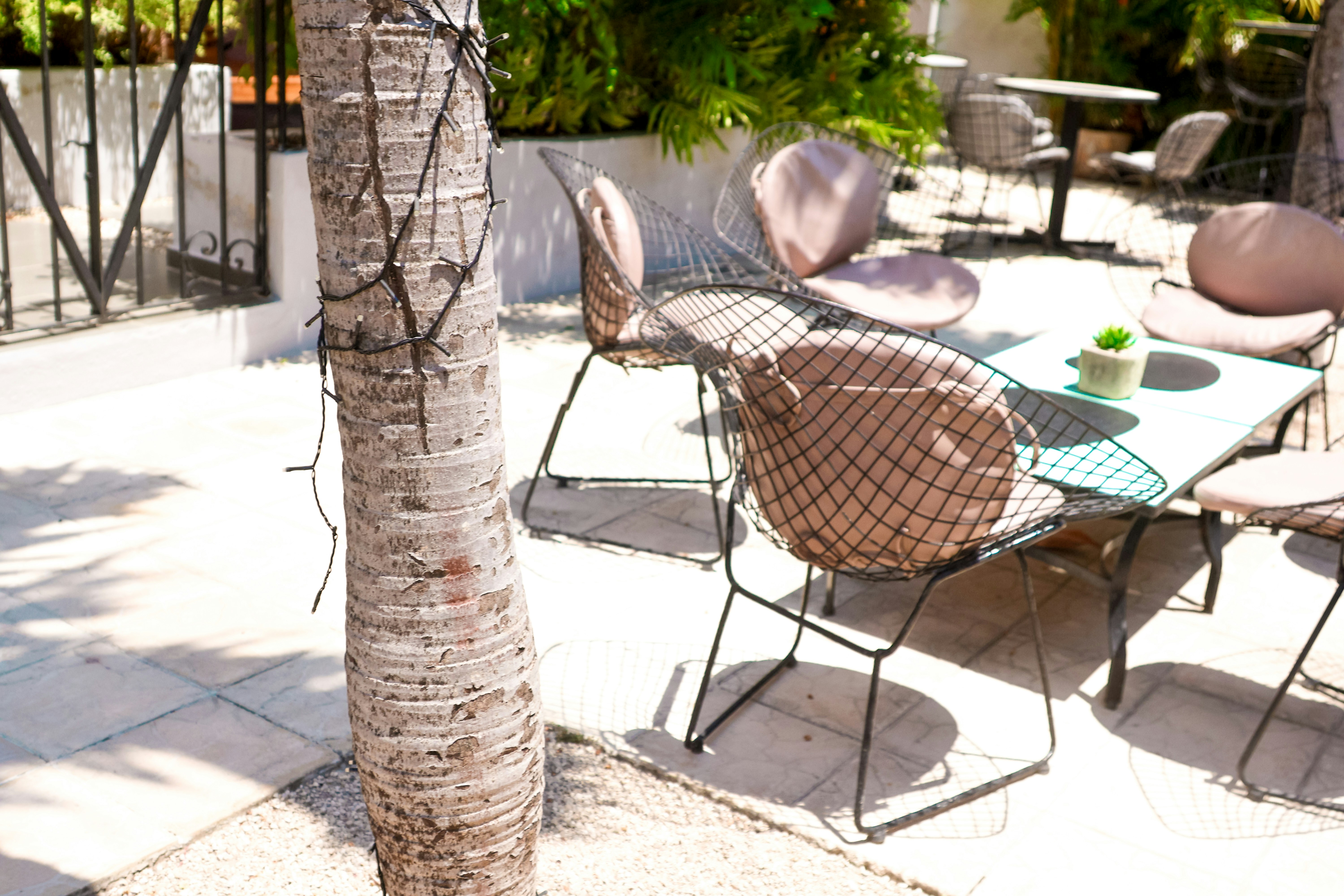 Photo by traveleroohlala