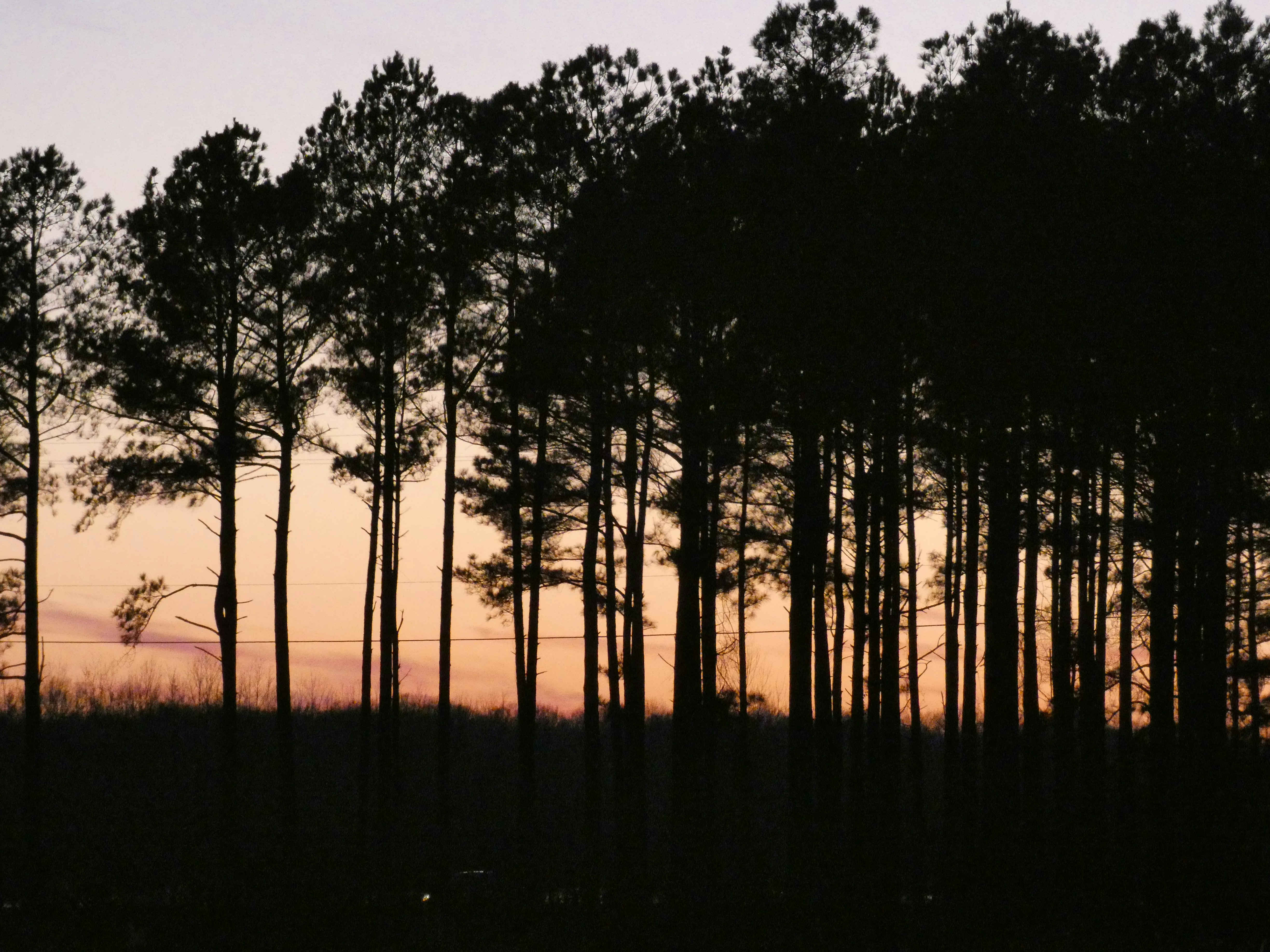 Photo by arkansas007