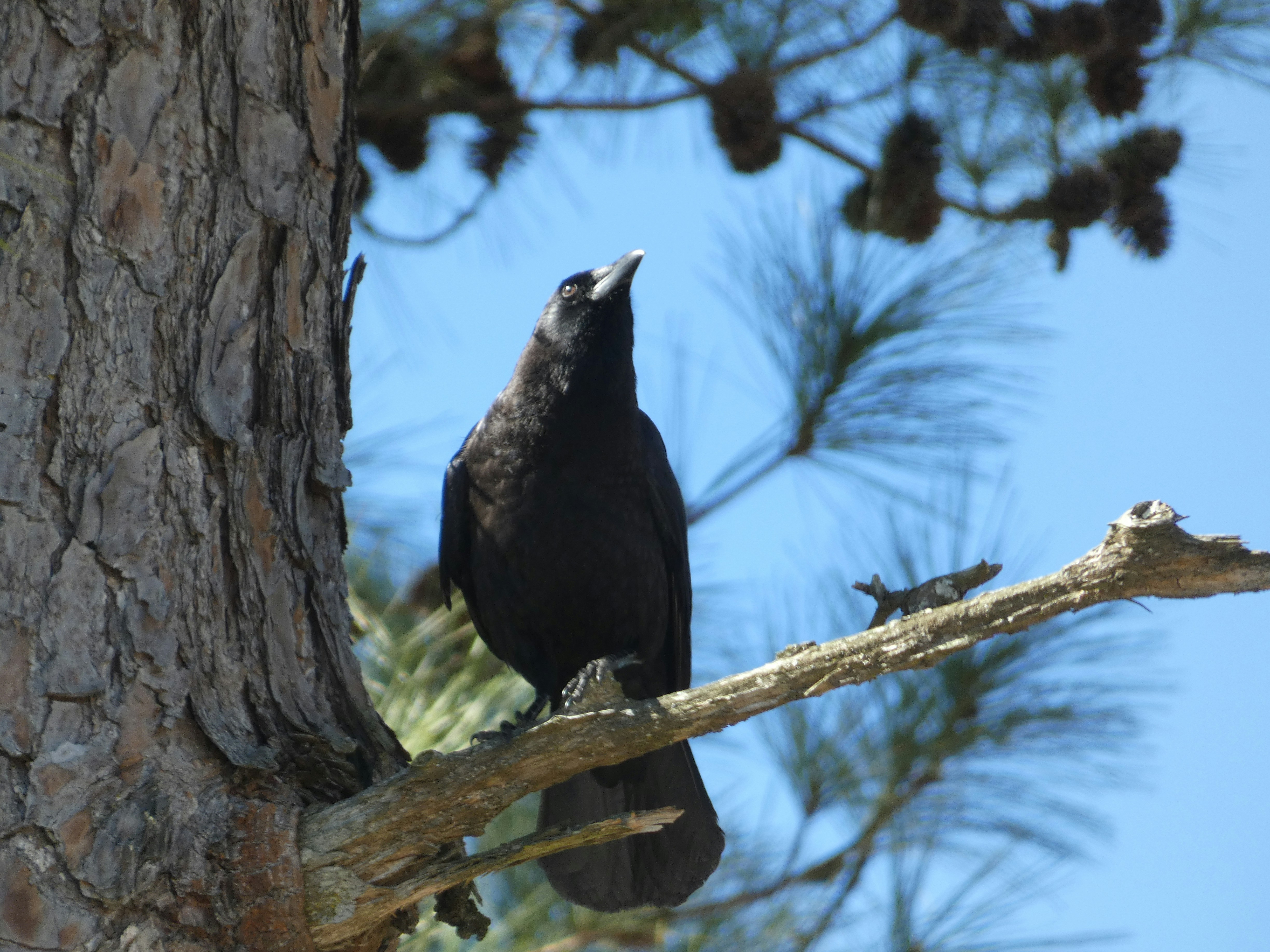 Photo by arkansas007