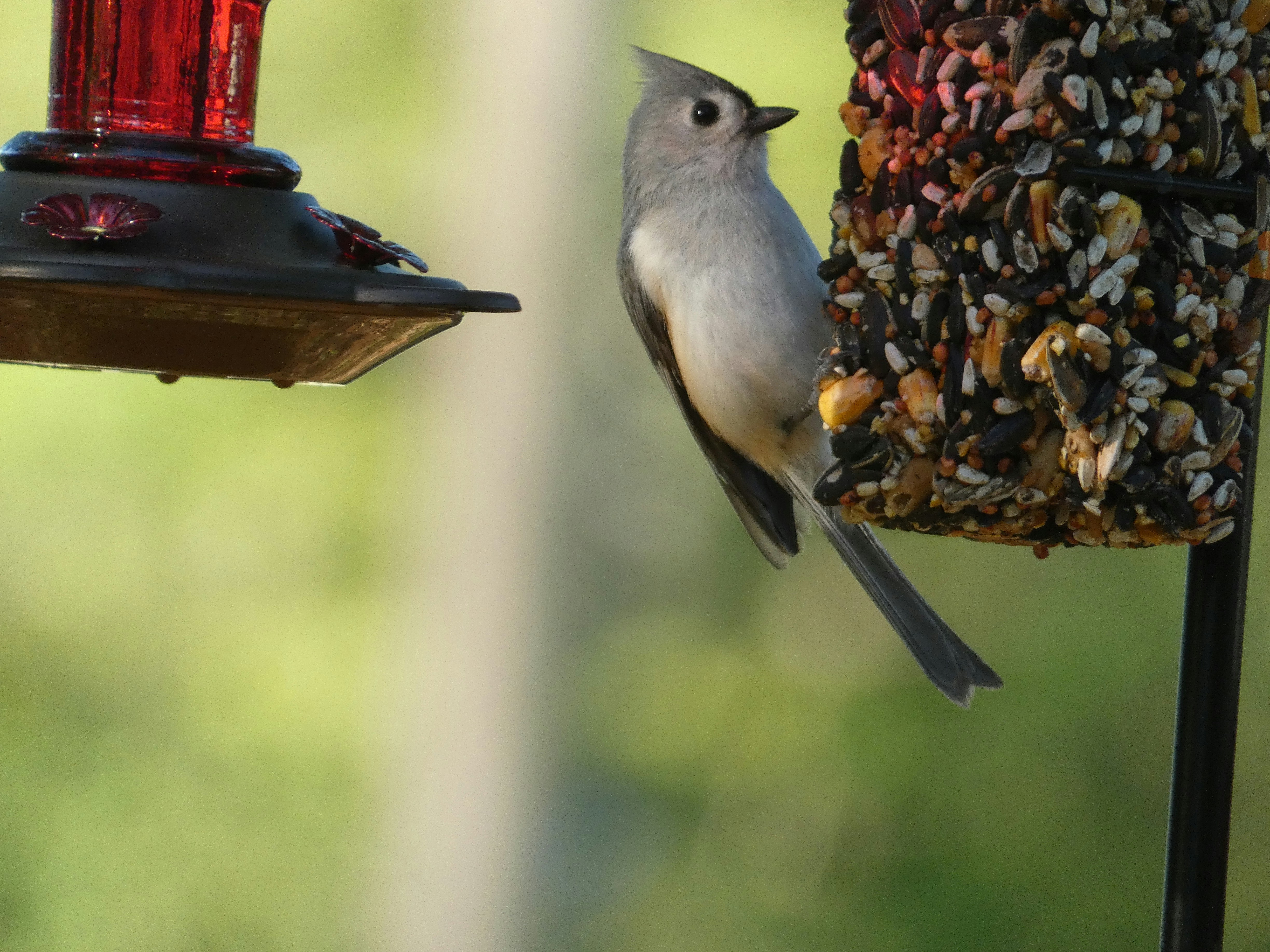 Photo by arkansas007