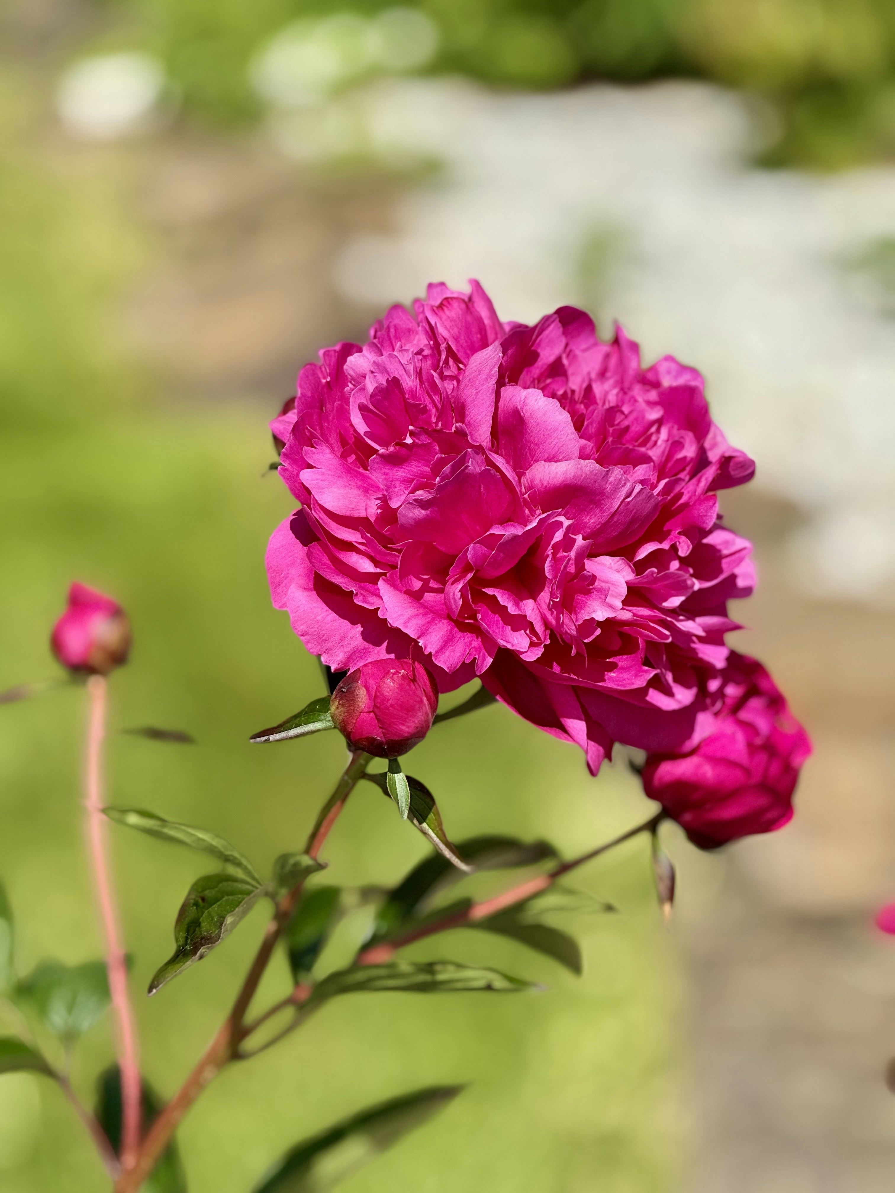 Photo by lotusandhawk