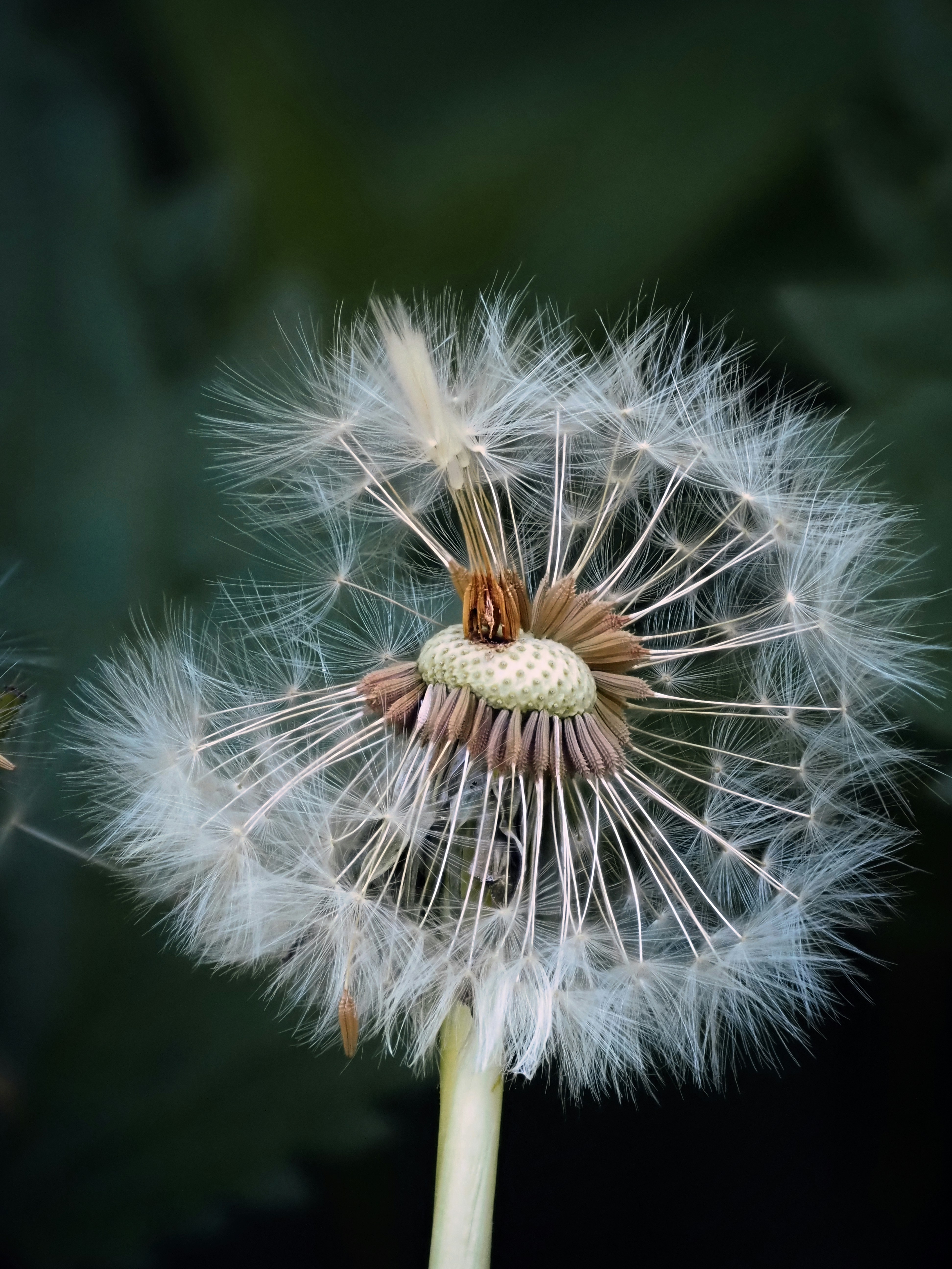 Photo by theskytales