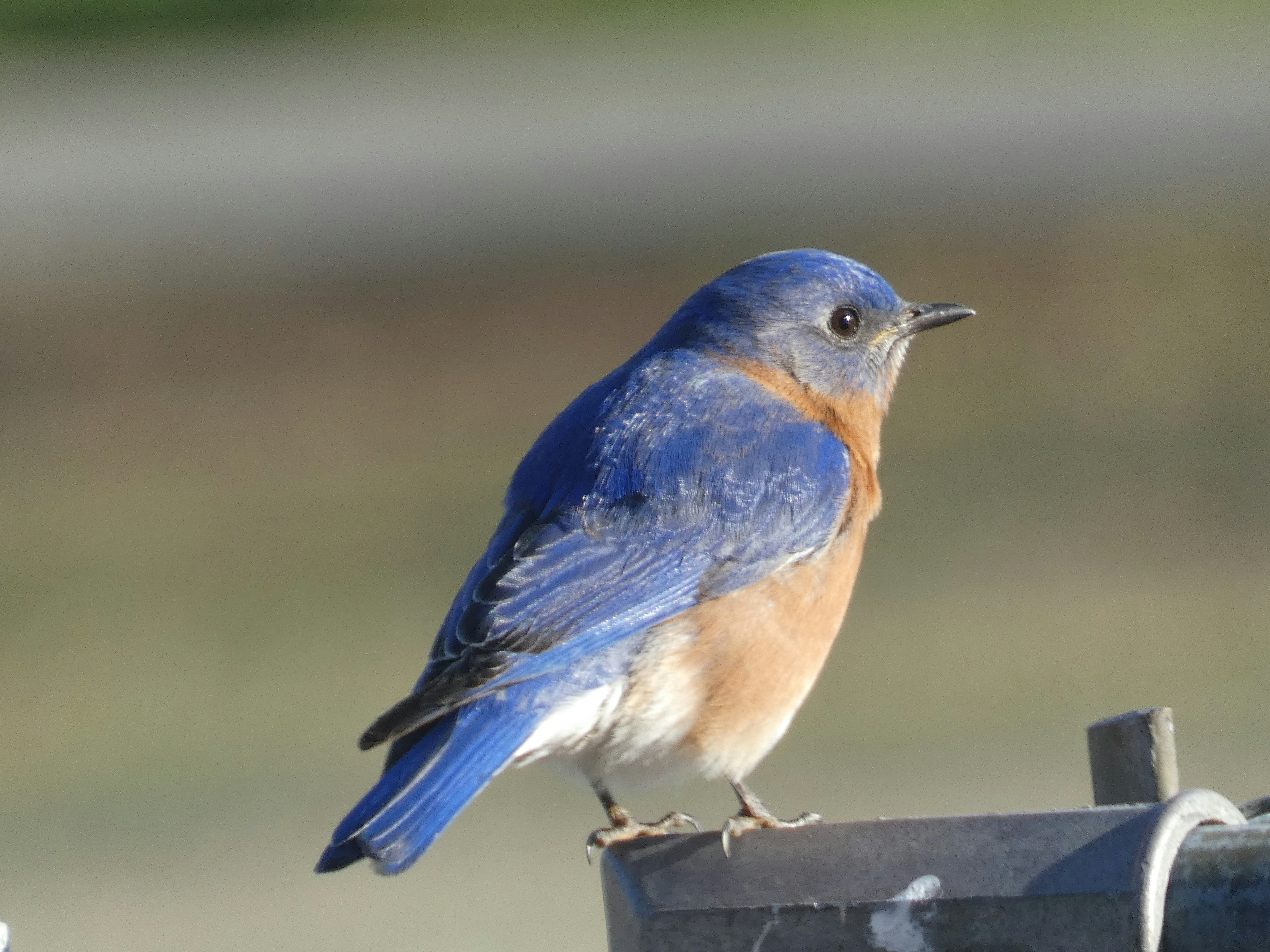 Photo by arkansas007