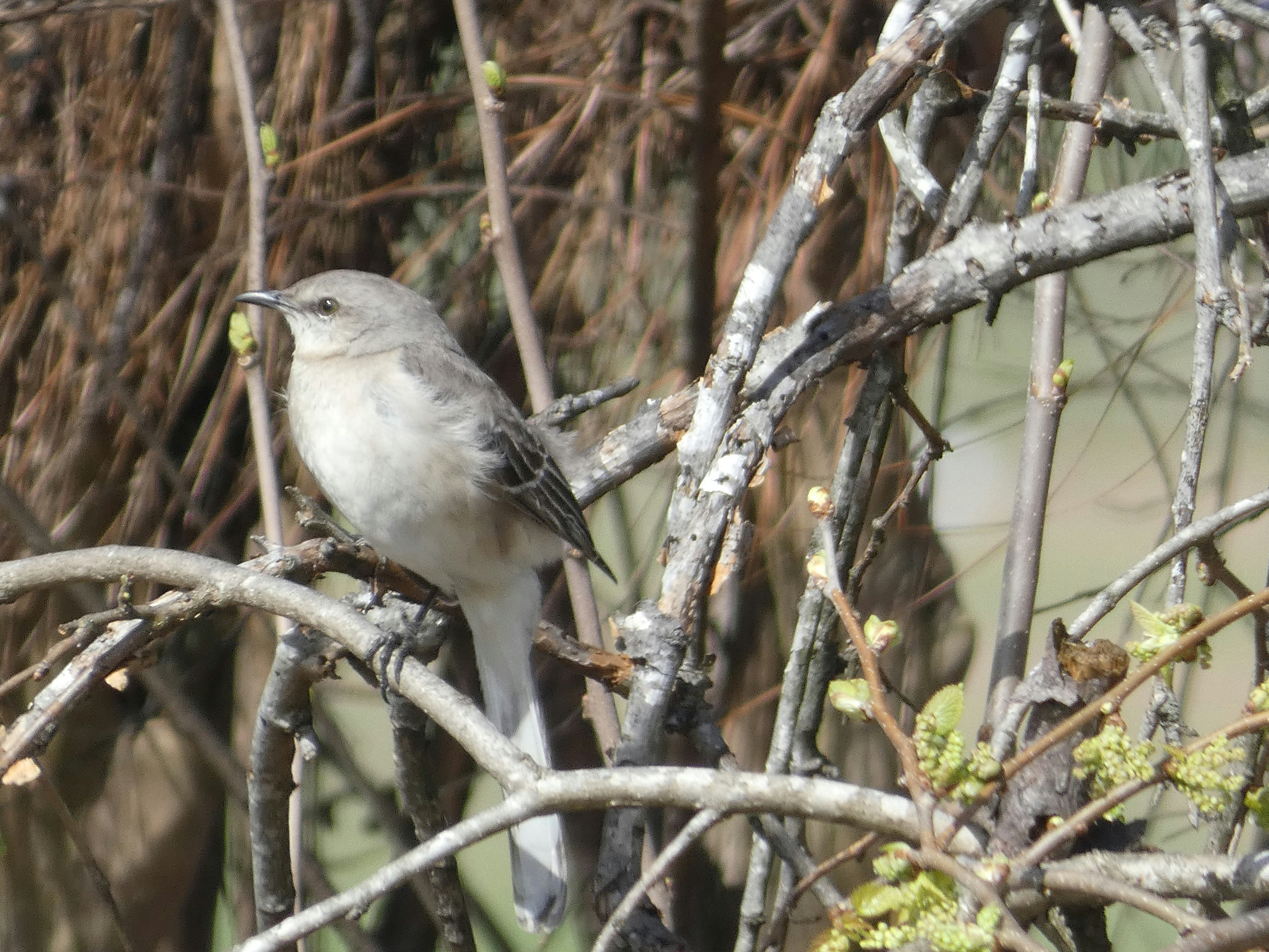 Photo by arkansas007