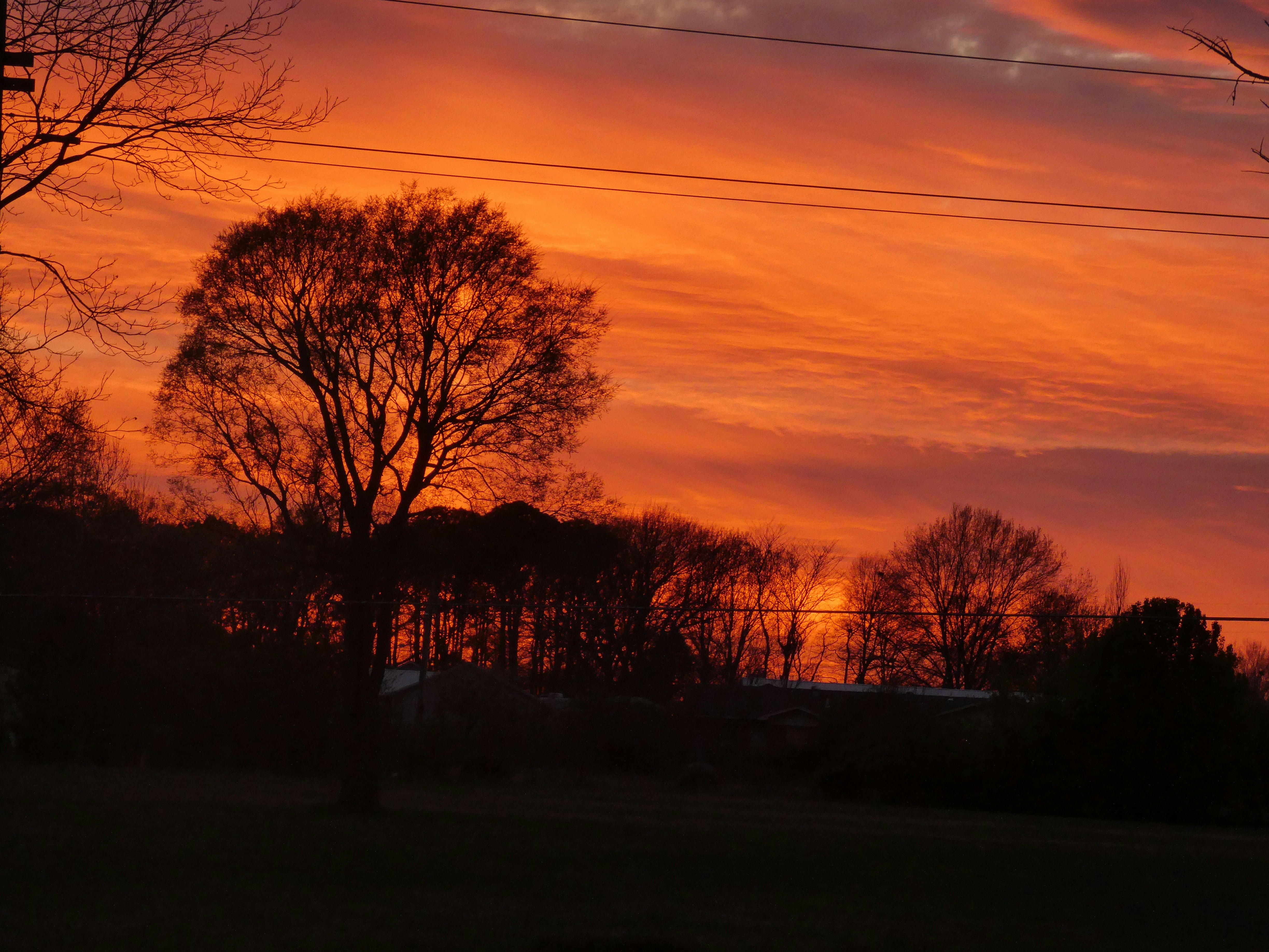 Photo by arkansas007