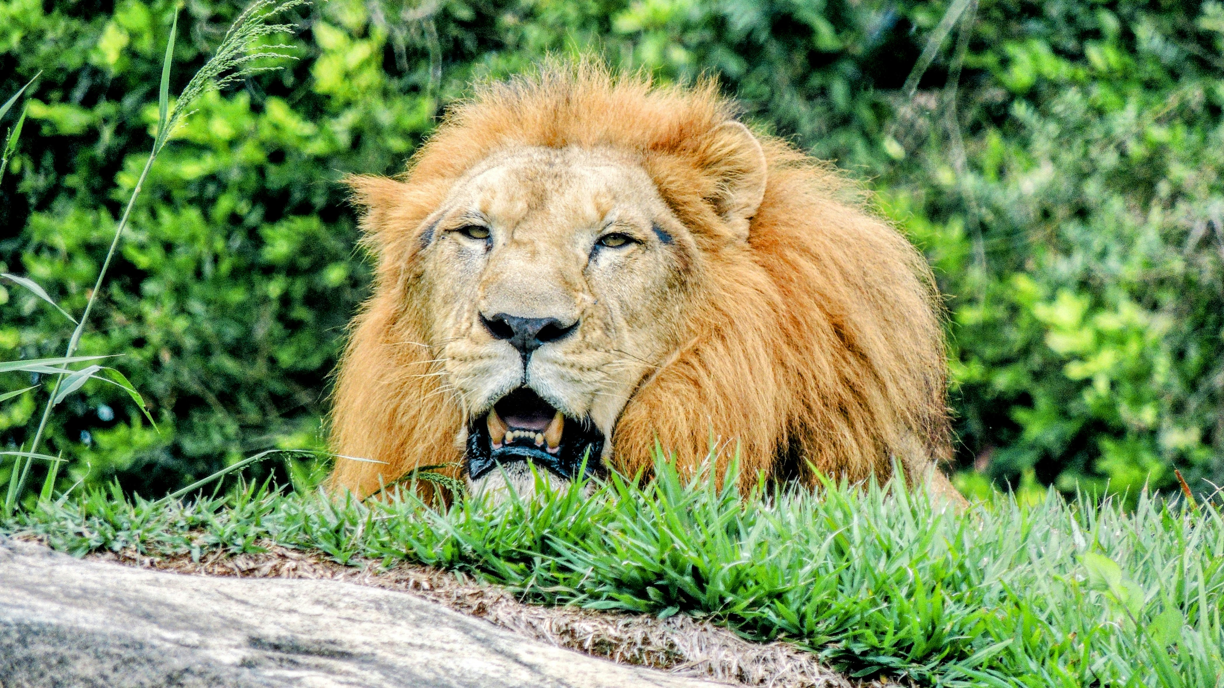 Photo by citywildlens