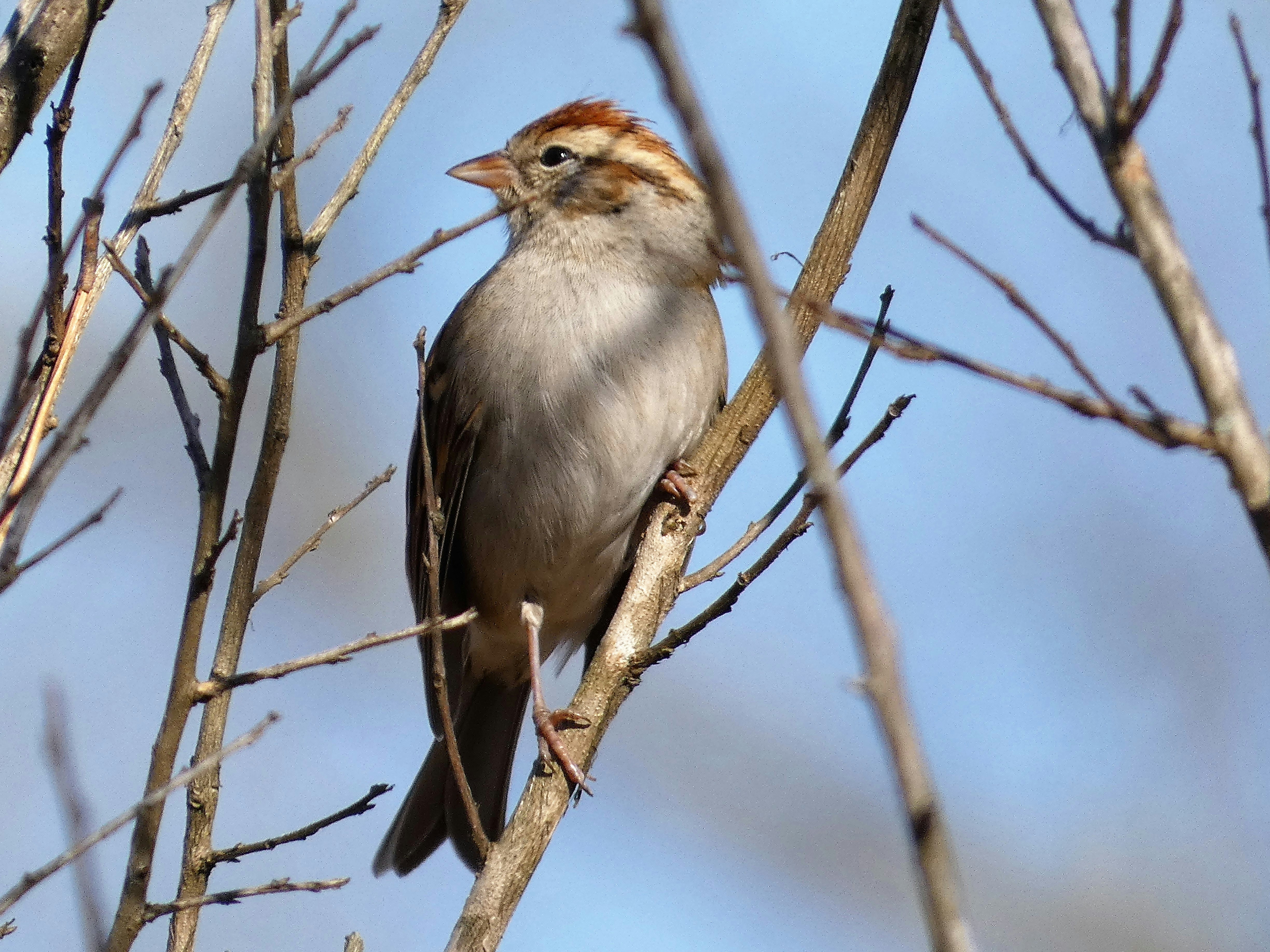 Photo by arkansas007