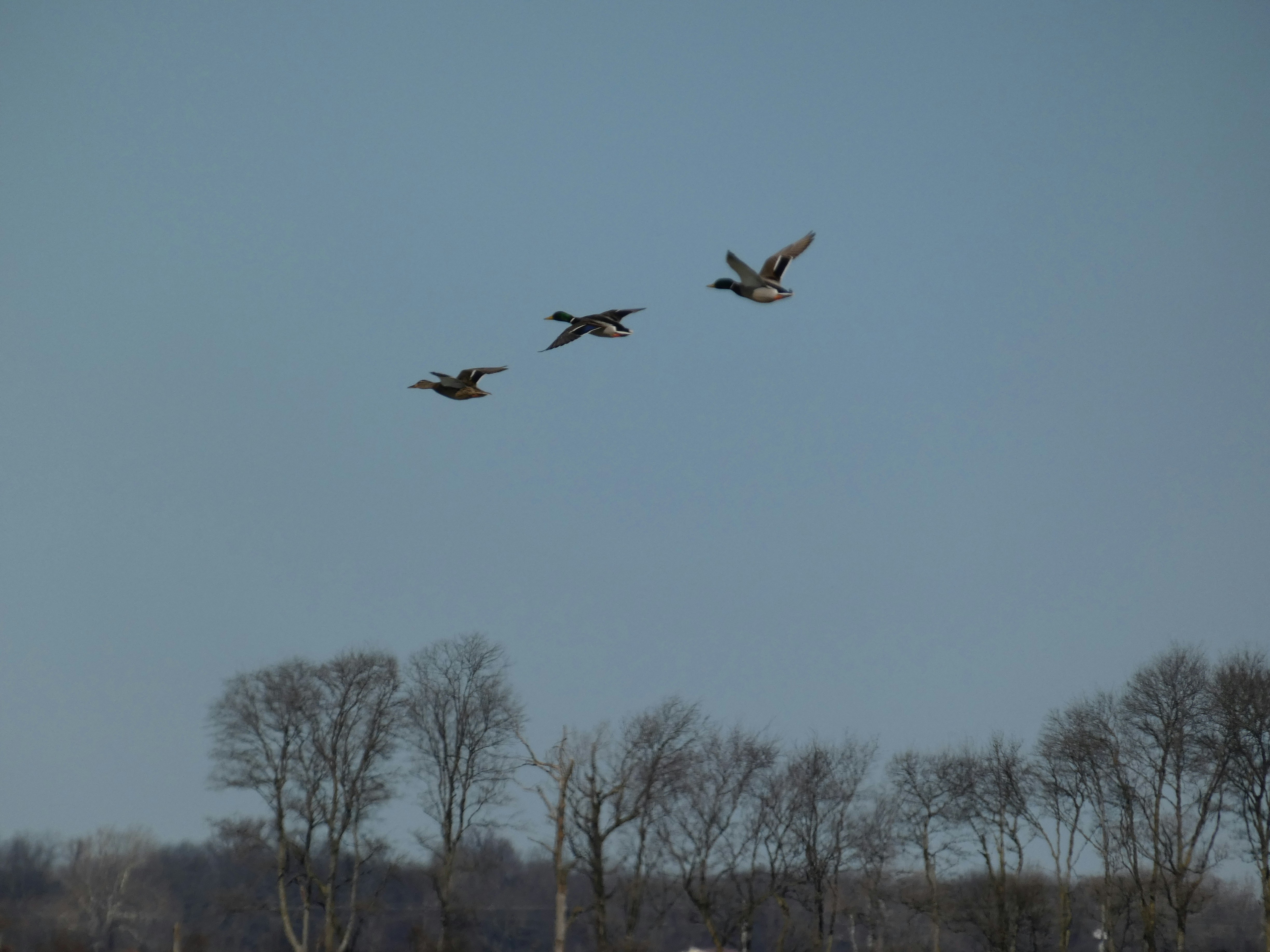 Photo by arkansas007