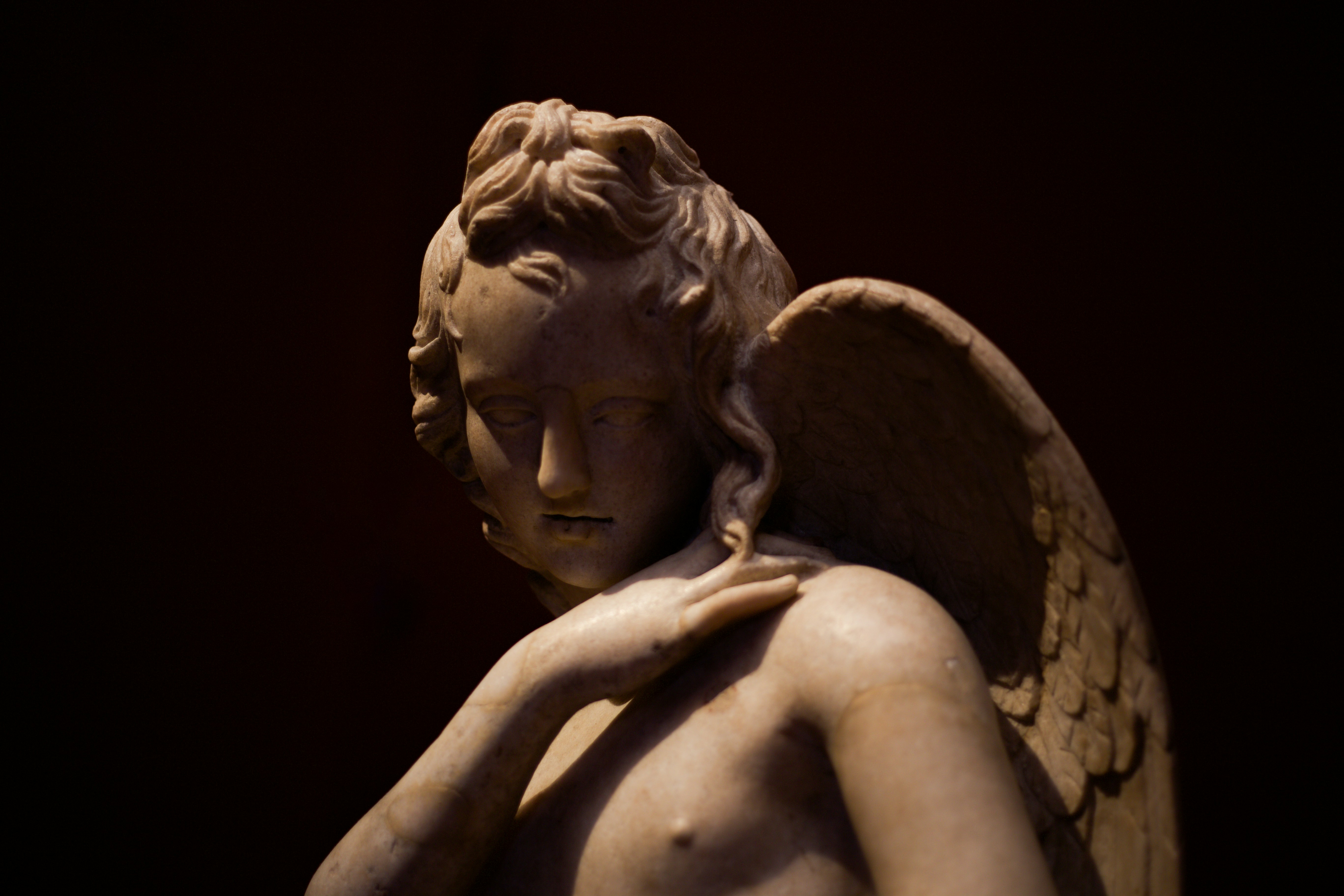 Photo by ardalanaameli