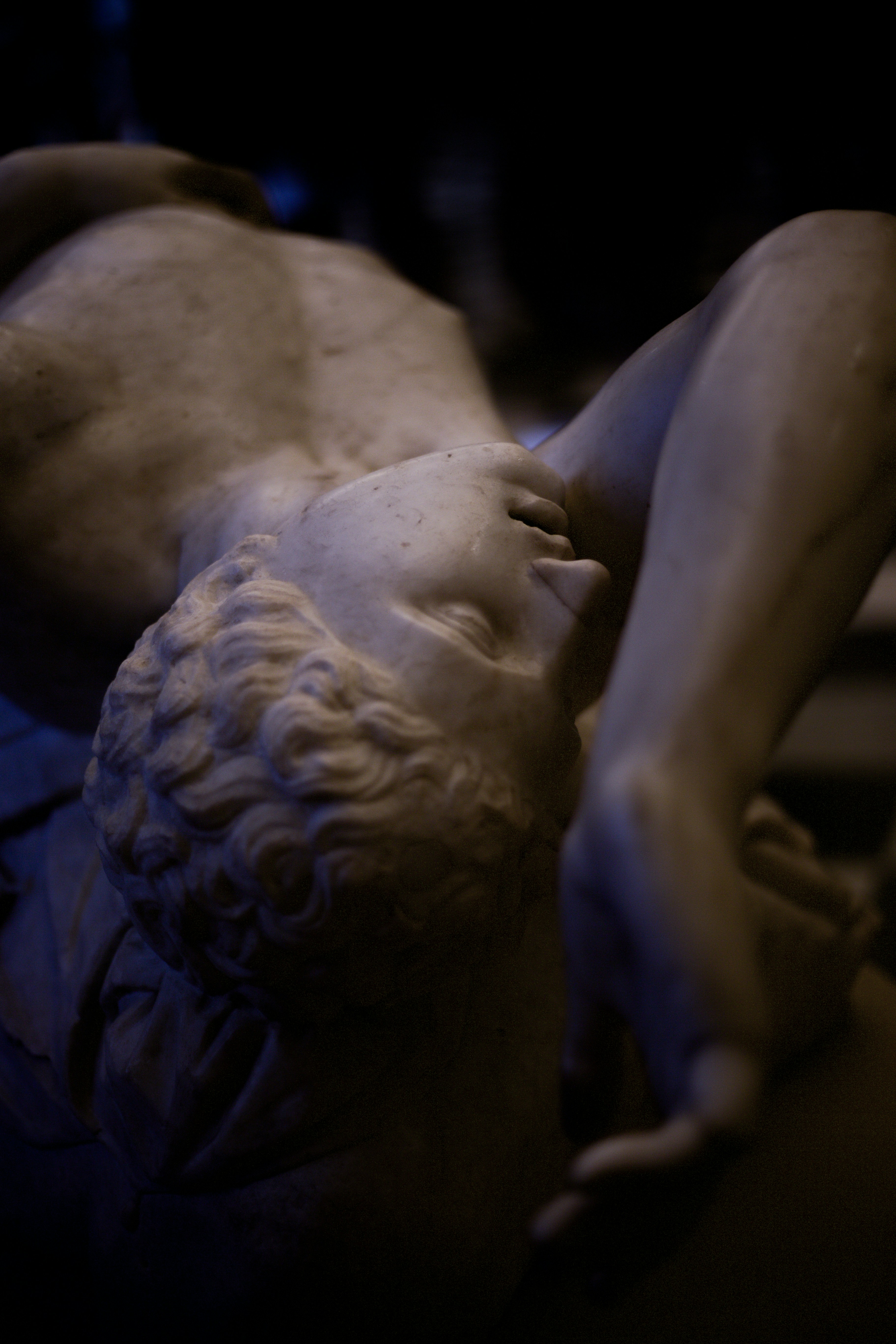 Photo by ardalanaameli