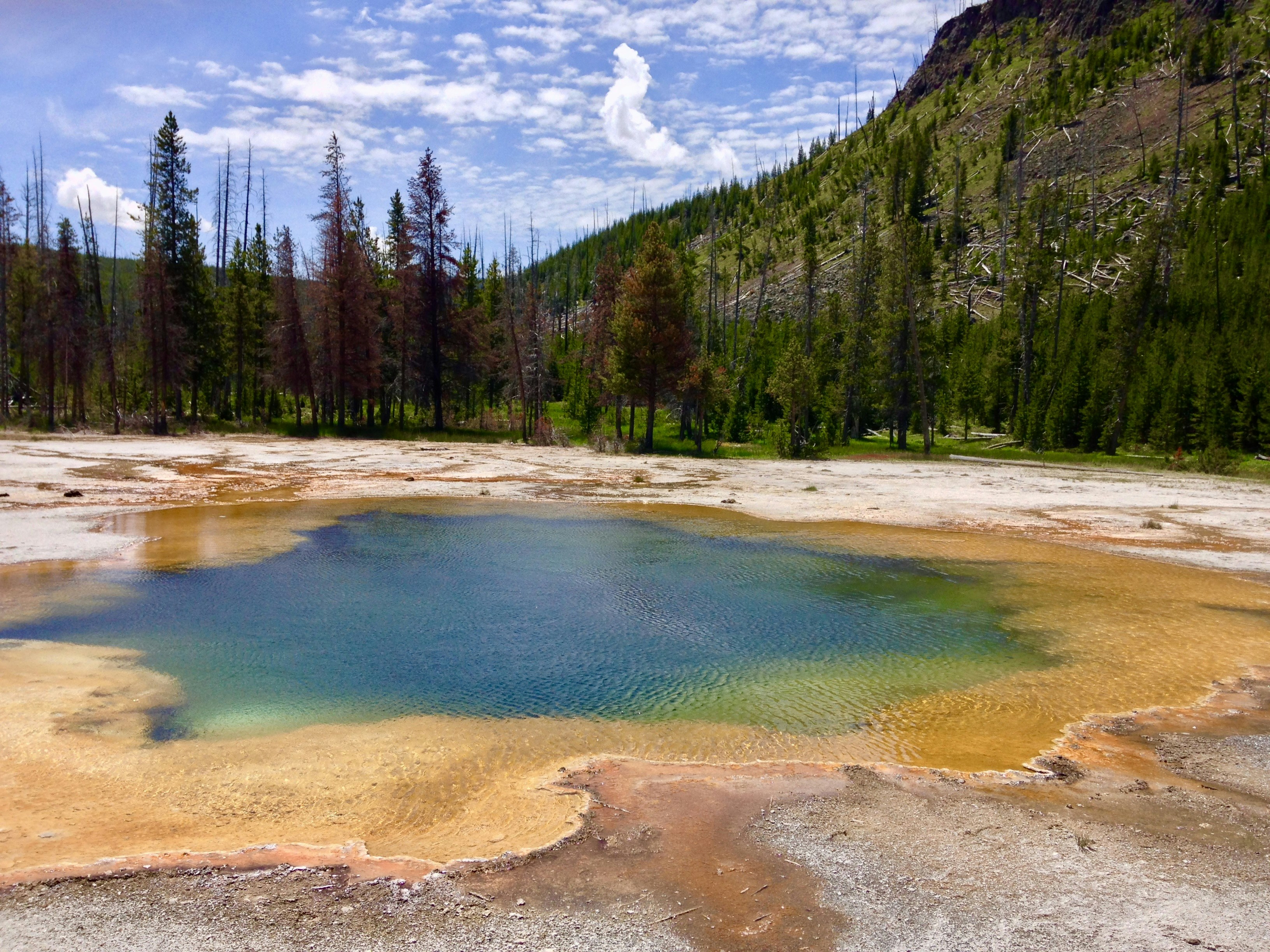 Photo by thedianadiaries