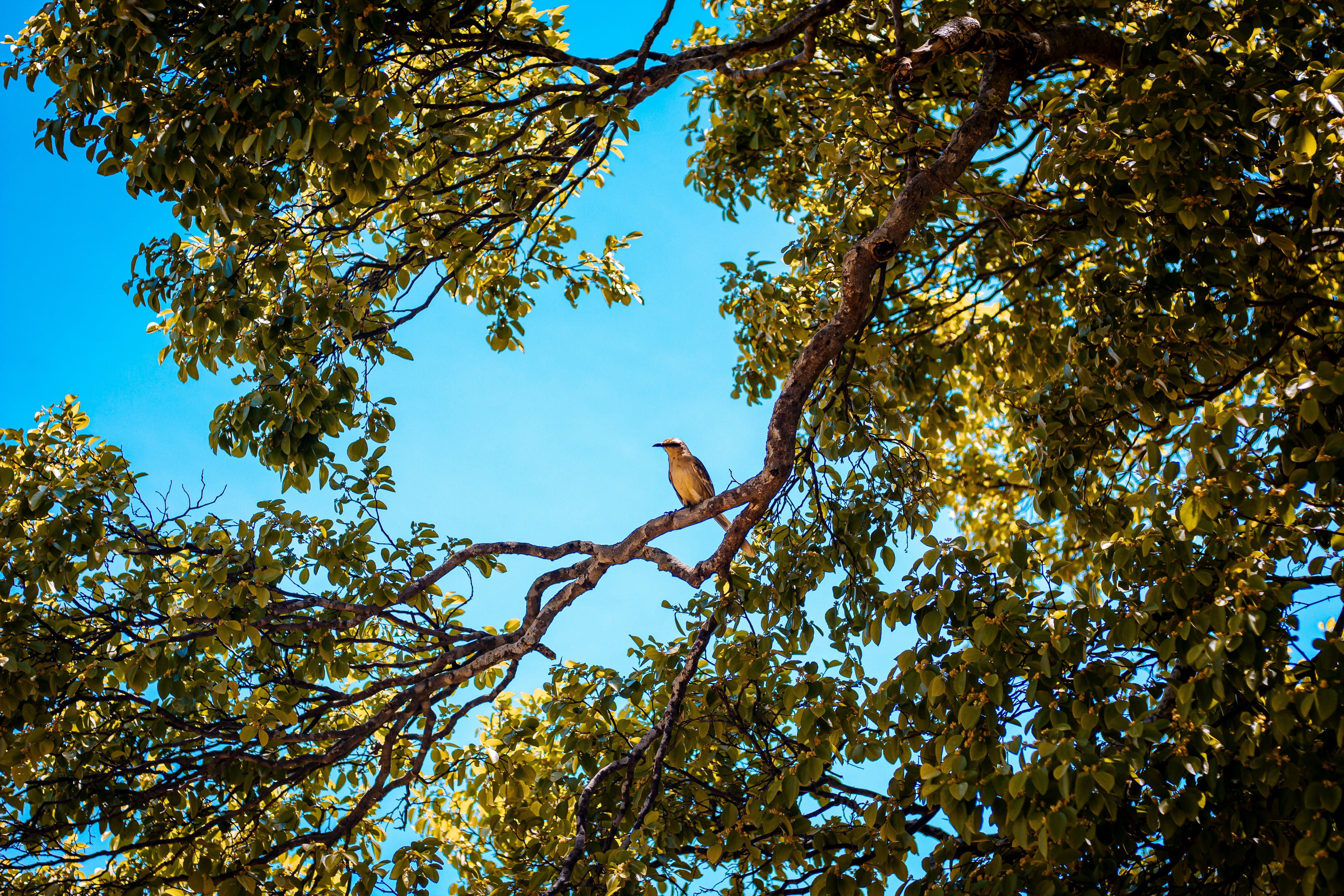 Photo by kaliufotografo