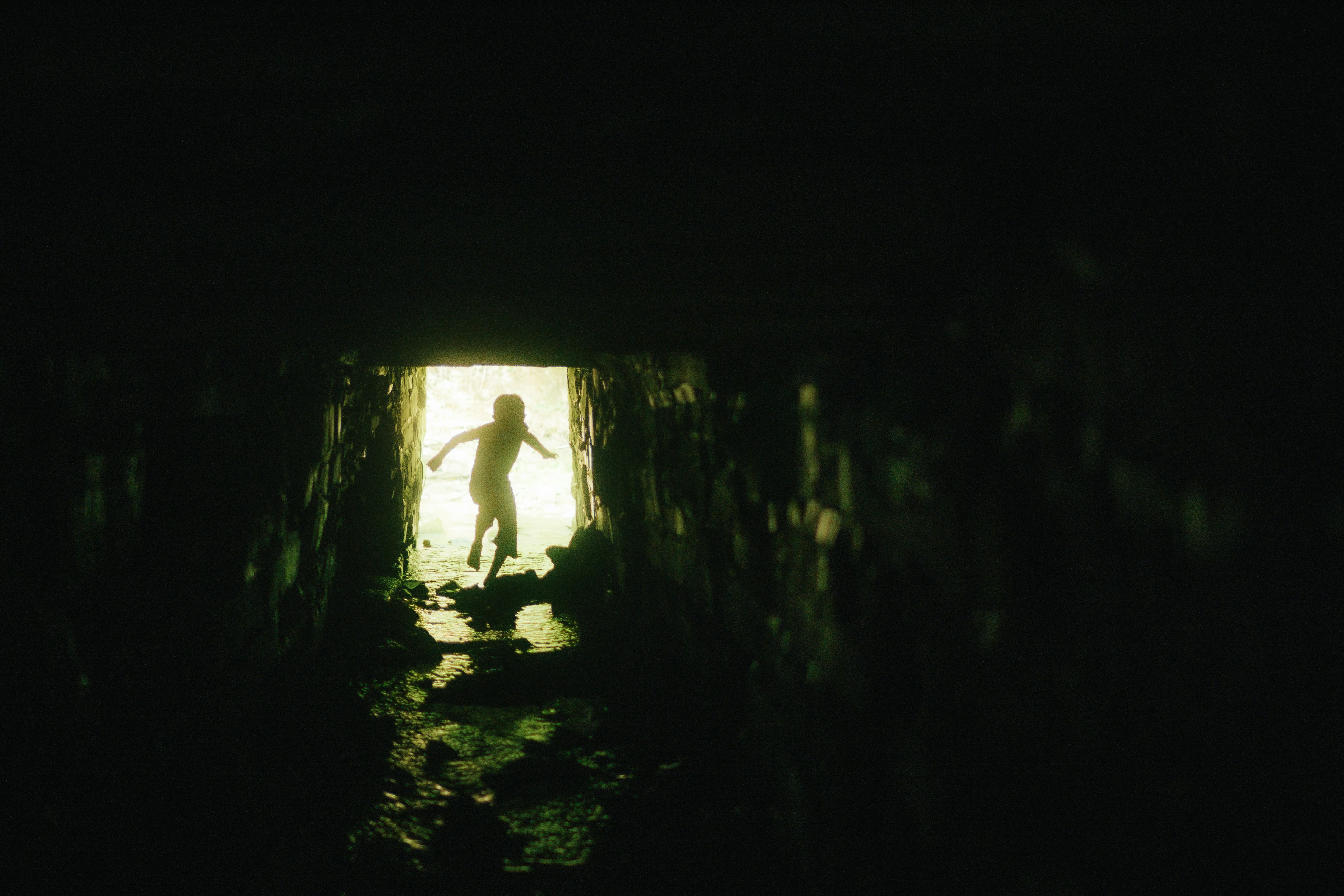 Don't Stop. Follow The Wind.