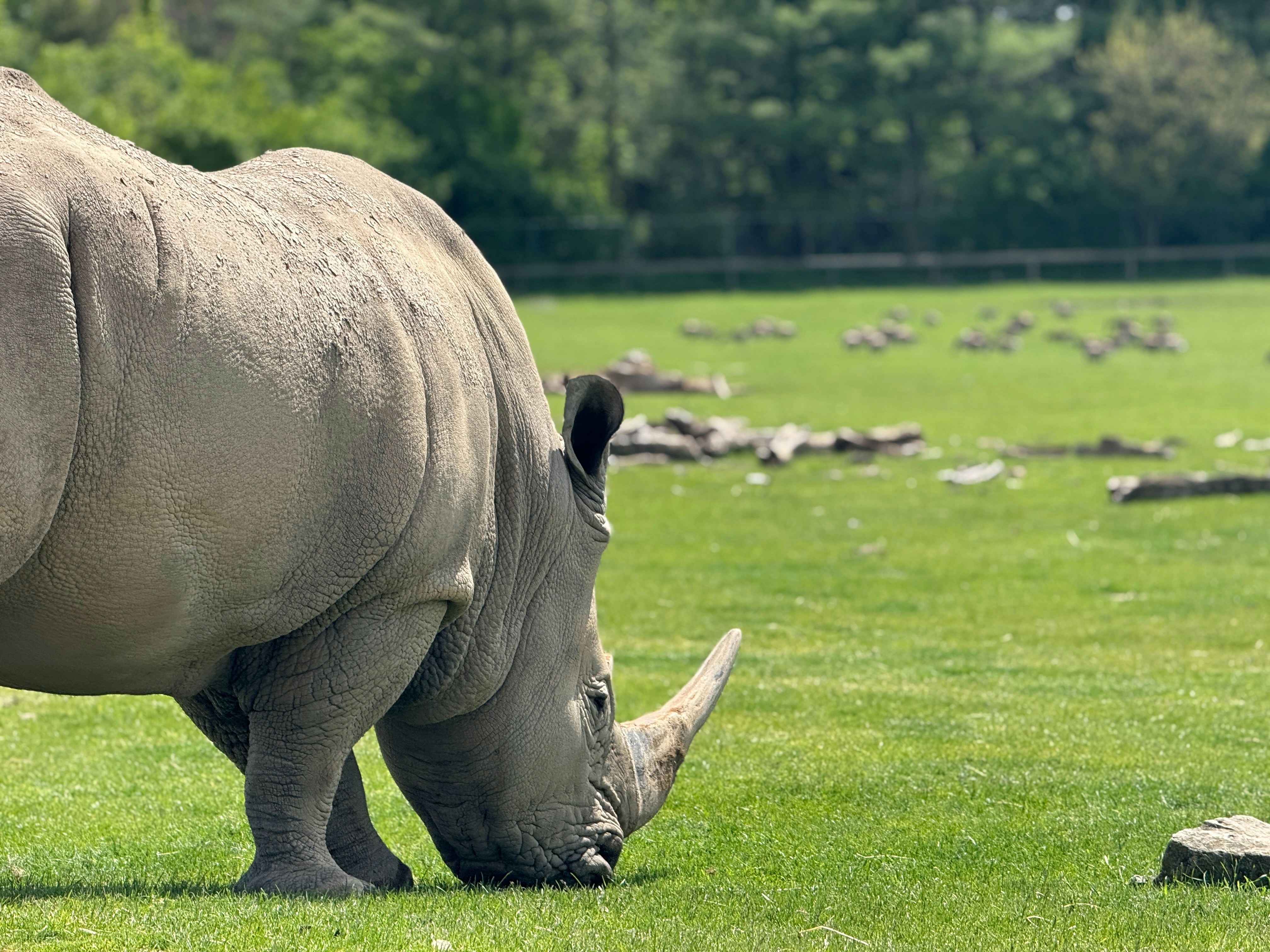 Photo by dishant_2011