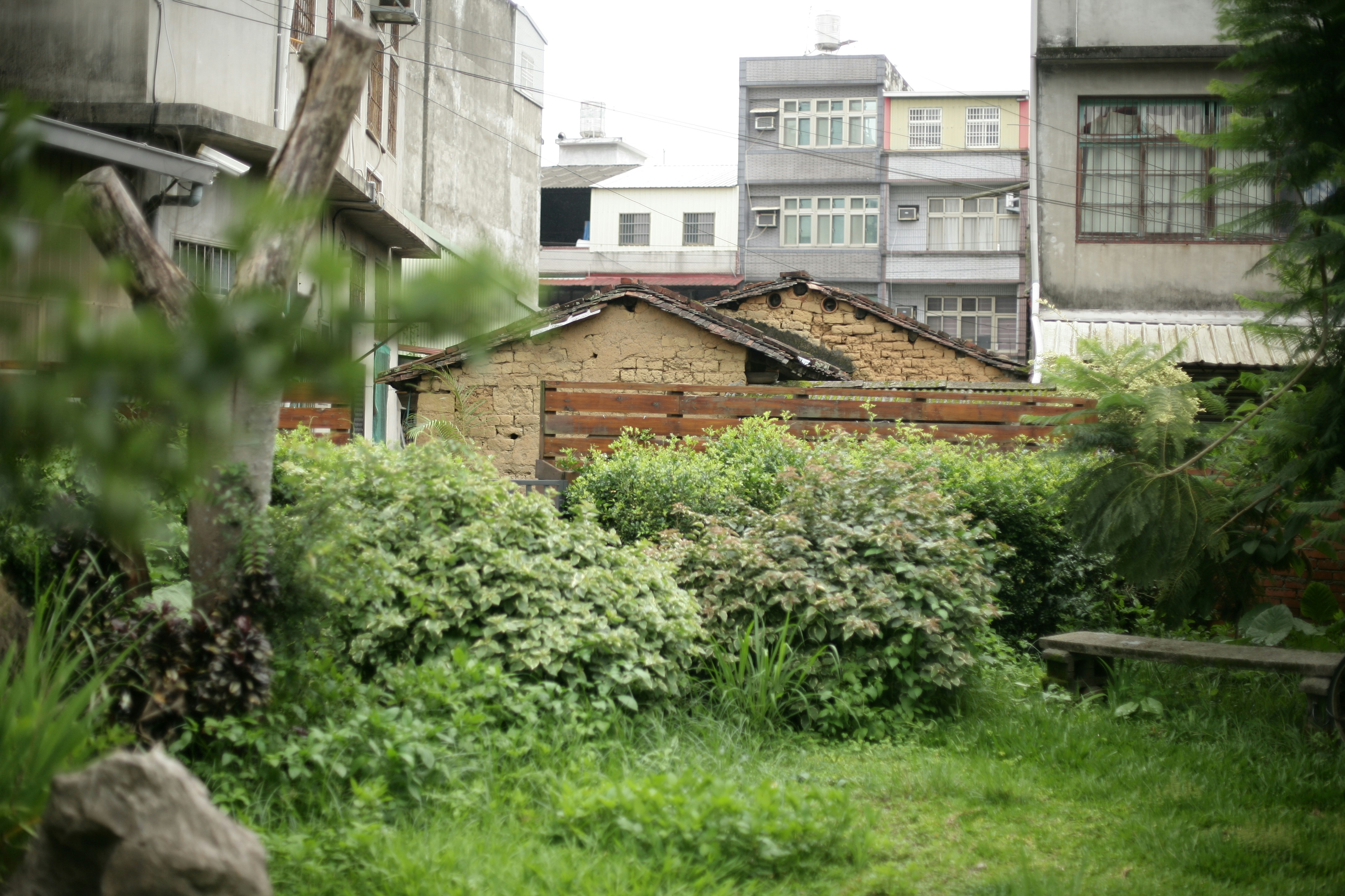 Why Traditional Removal Methods Fail (image credits: unsplash)