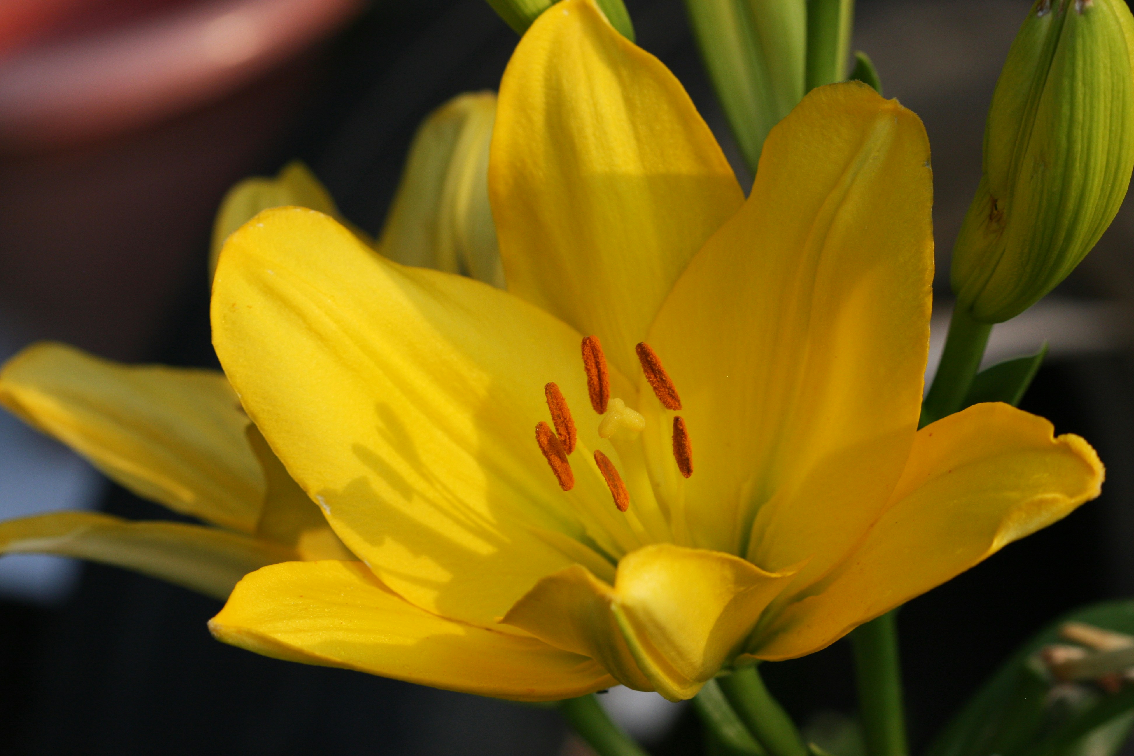 Photo by suyashbatra