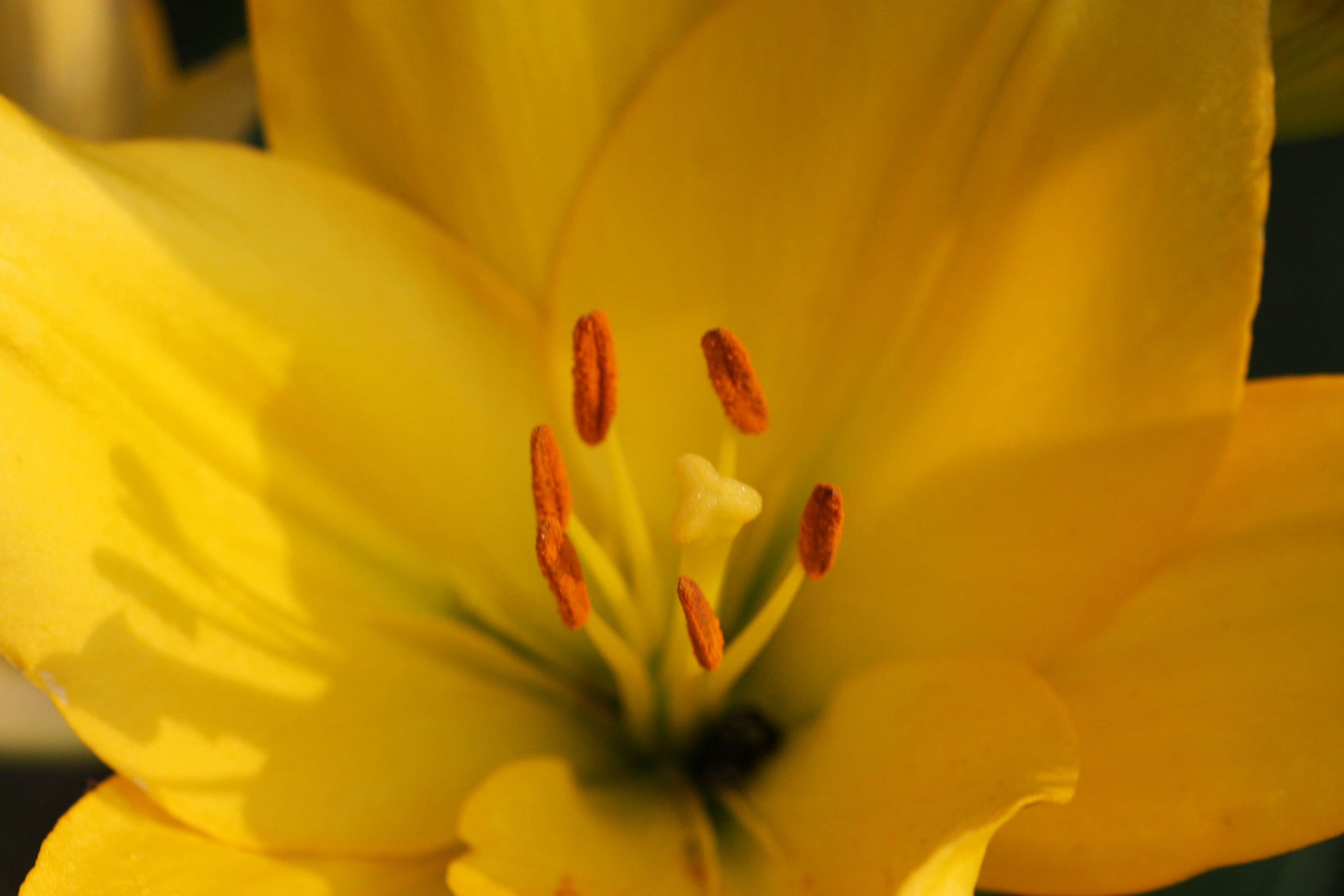 Photo by suyashbatra