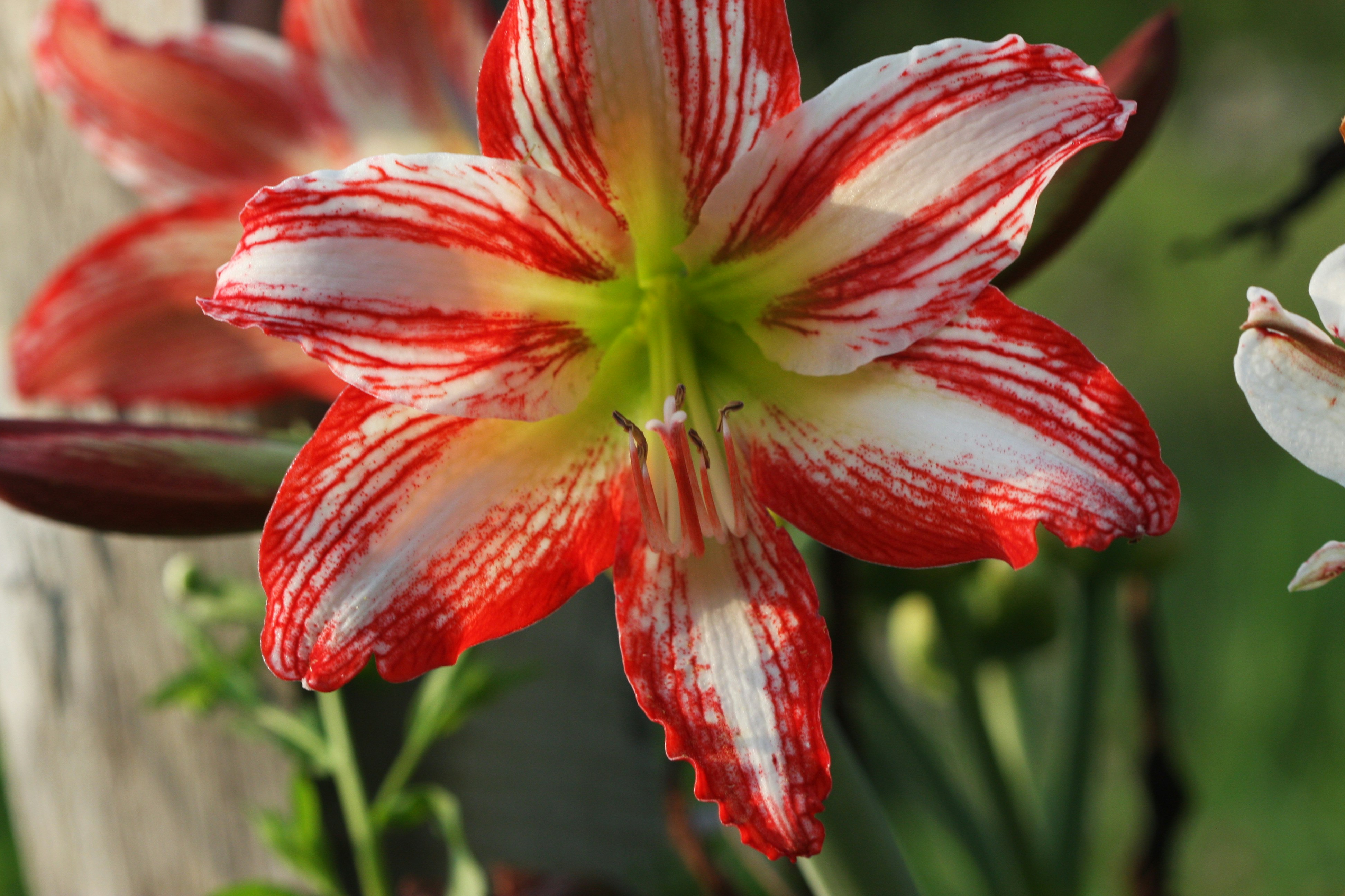 Photo by suyashbatra