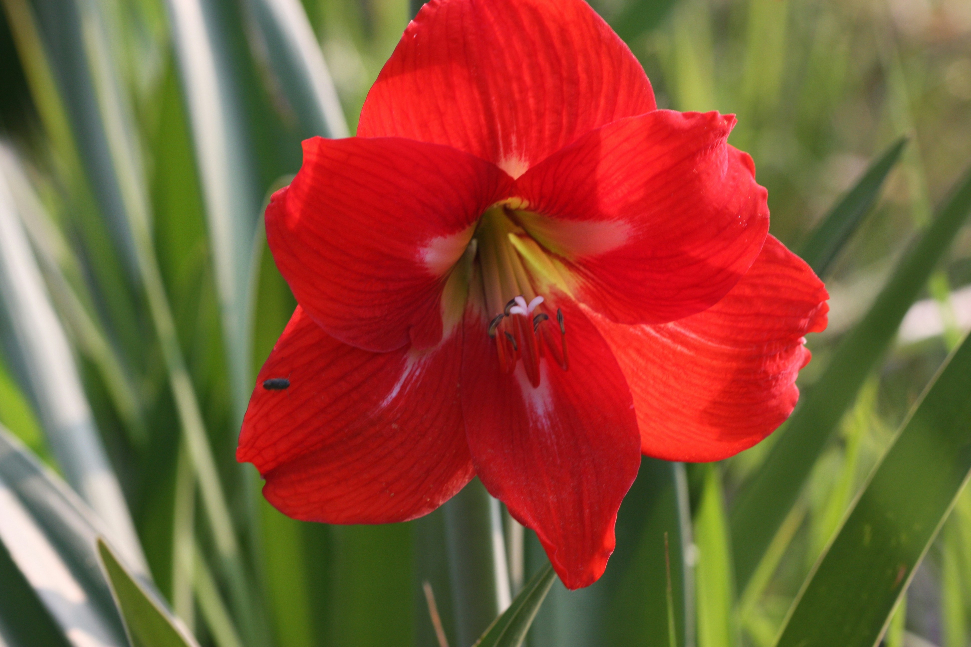 Photo by suyashbatra