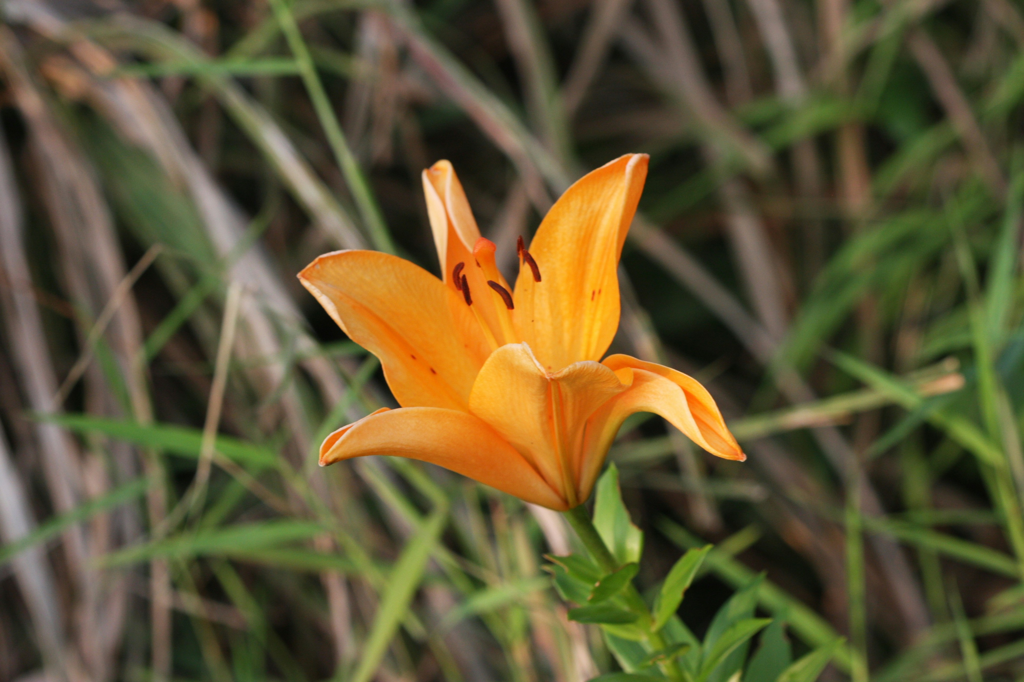 Photo by suyashbatra