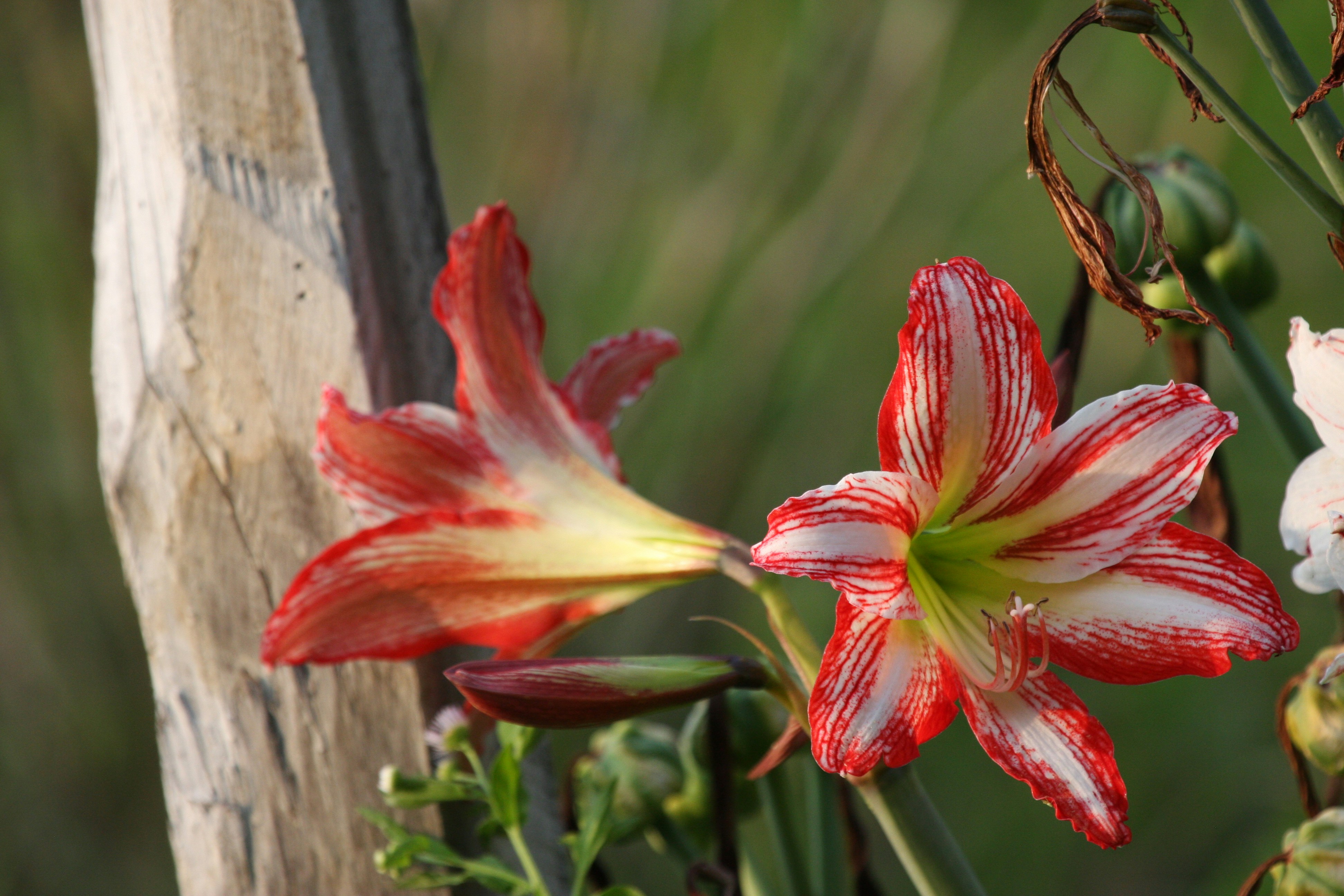 Photo by suyashbatra