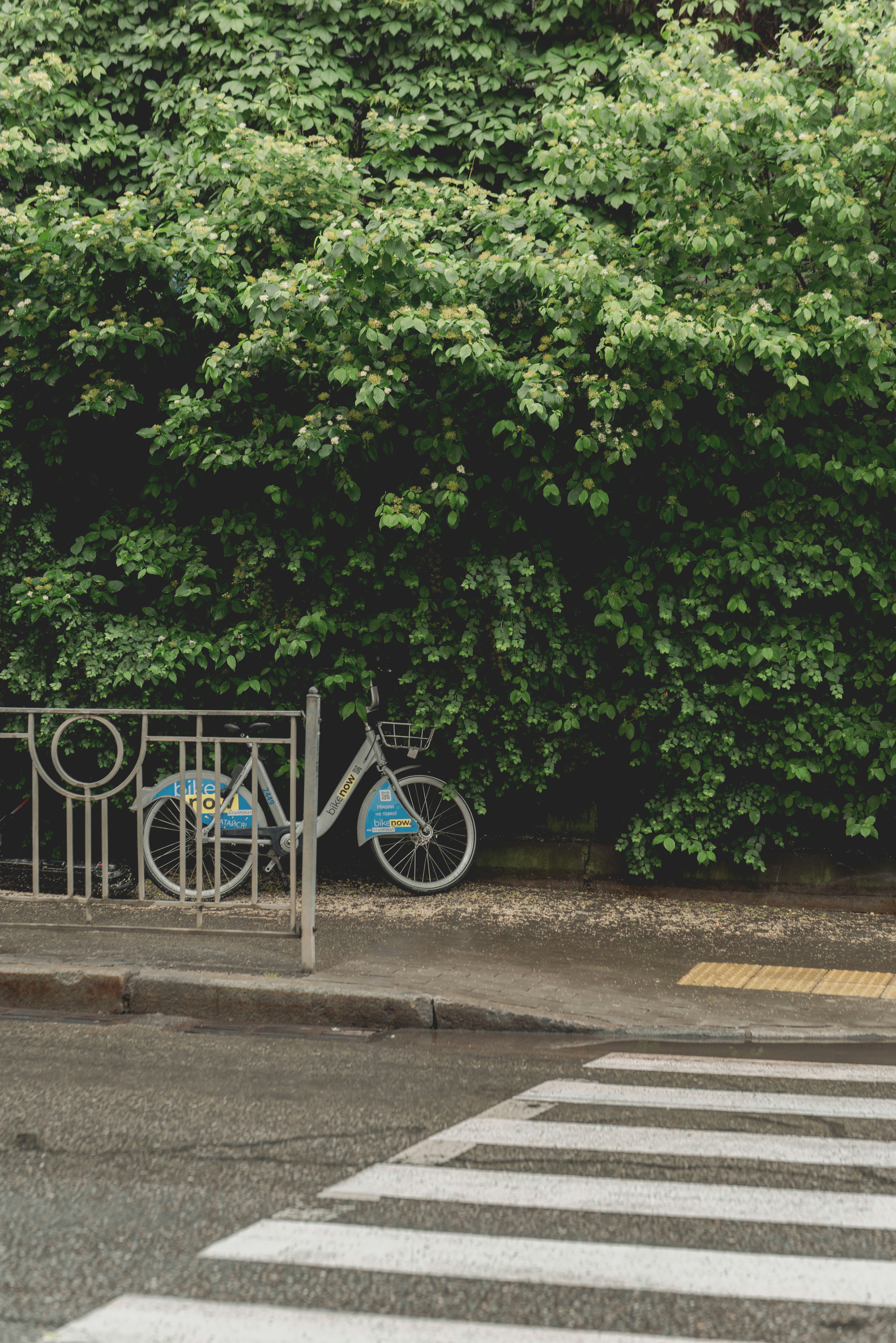 Photo by eugenivy_now