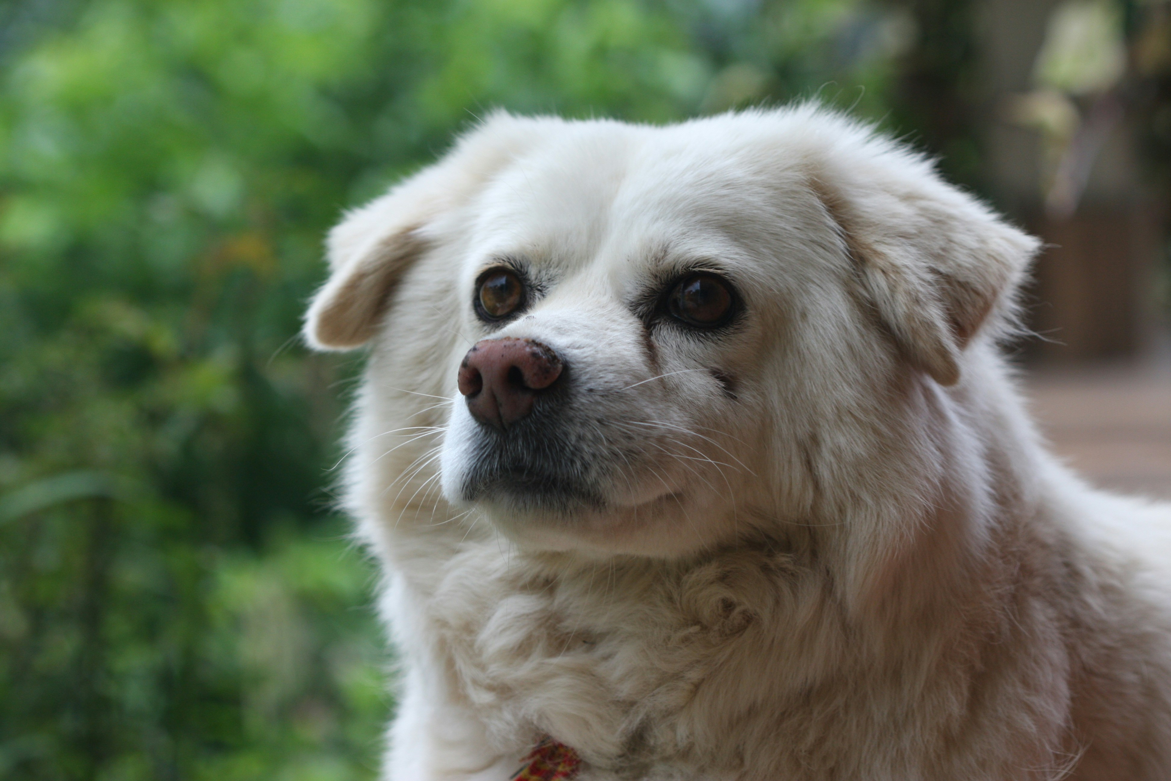 Photo by suyashbatra