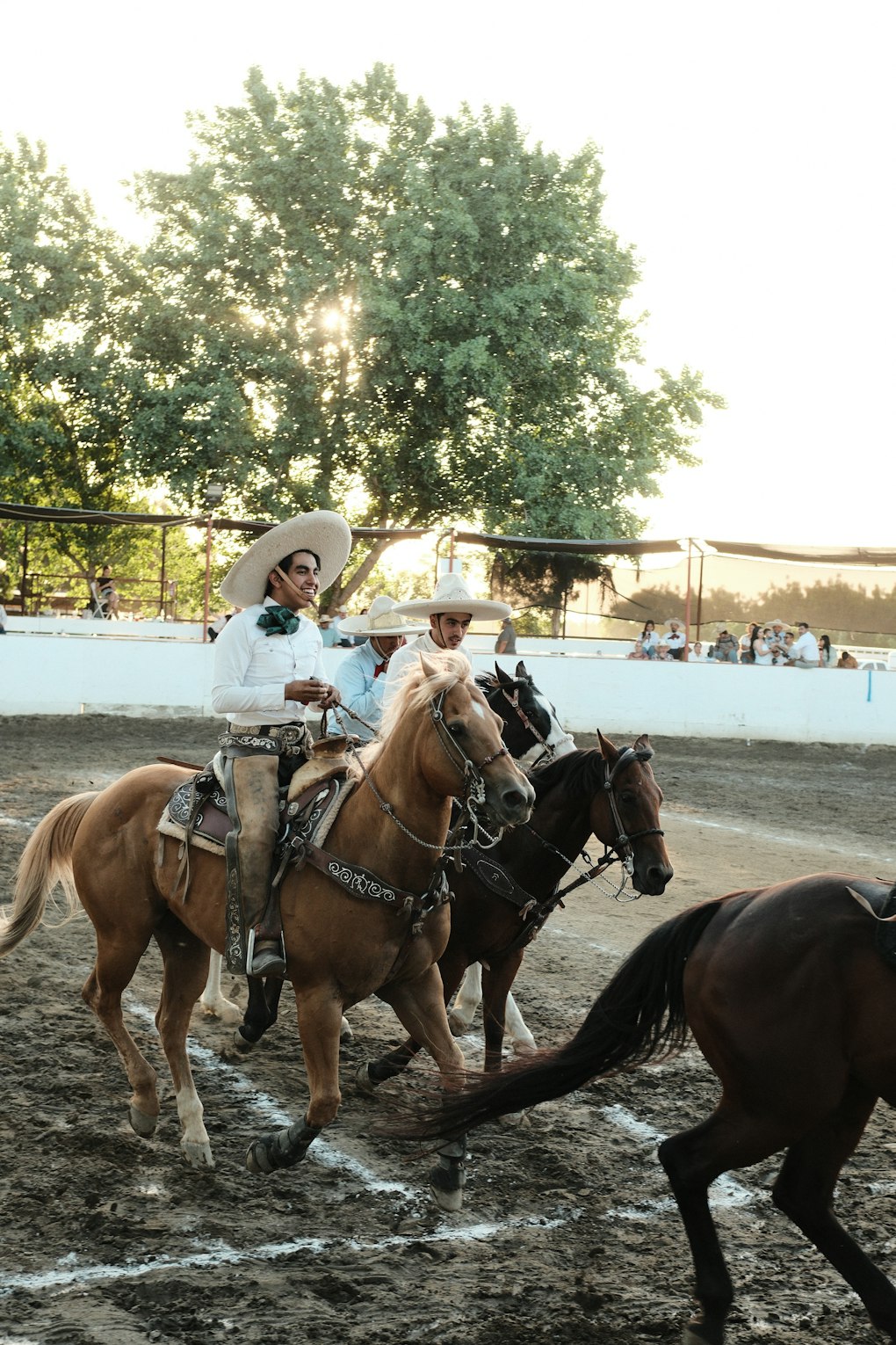 FICAGS 2026: La Feria Internacional del Caballo de Aguascalientes, el Mayor Evento Ecuestre de América