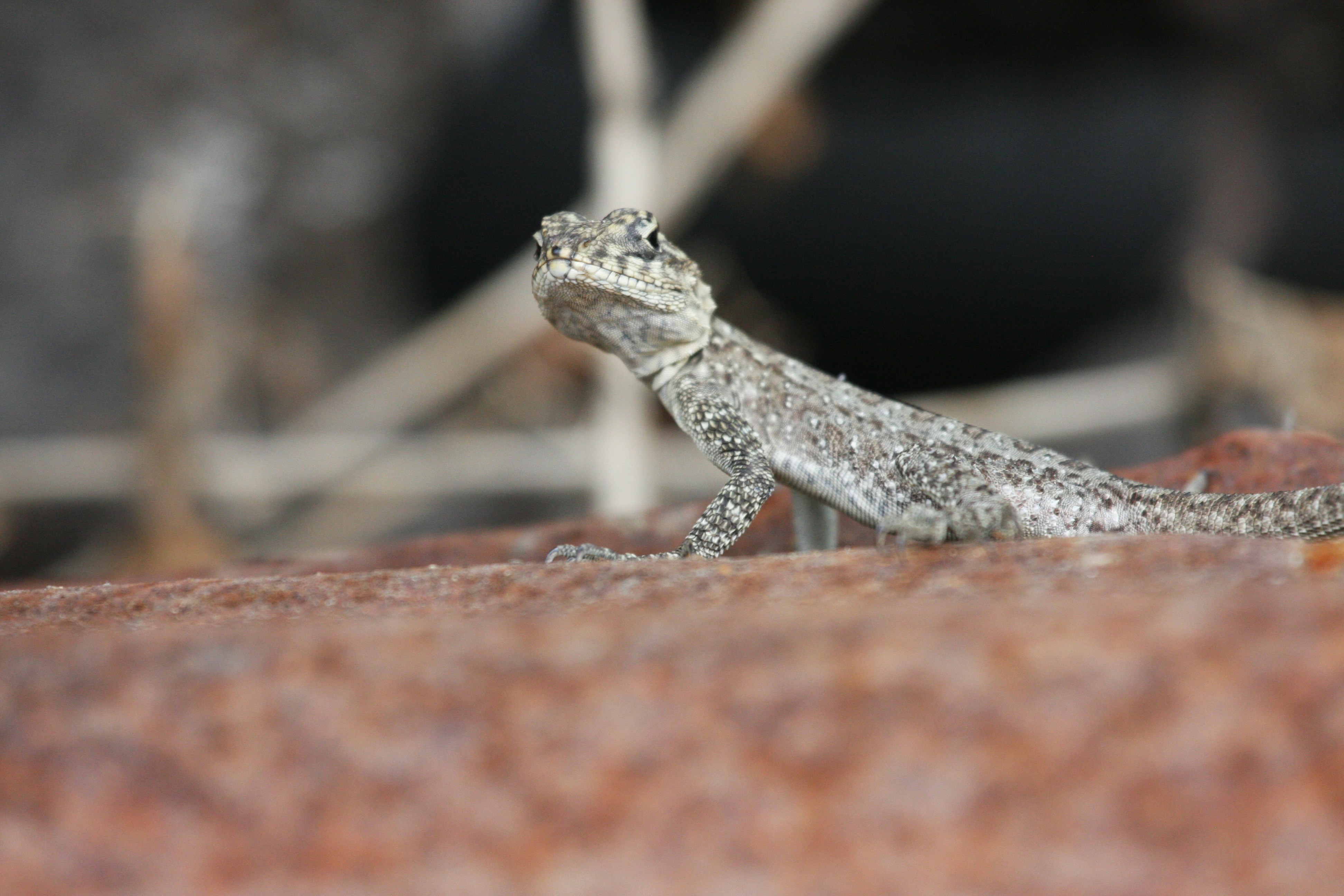 Photo by suyashbatra