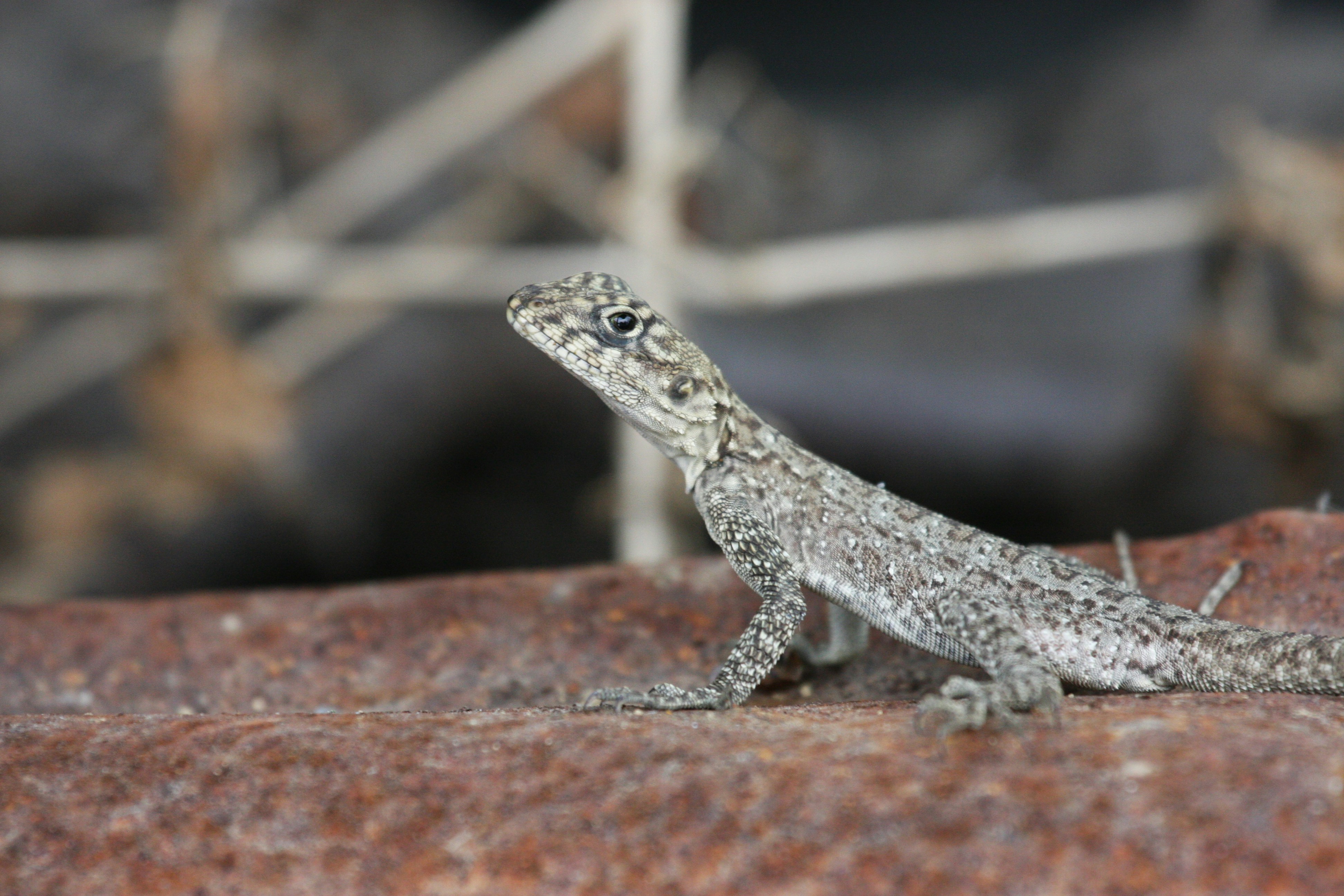 Photo by suyashbatra